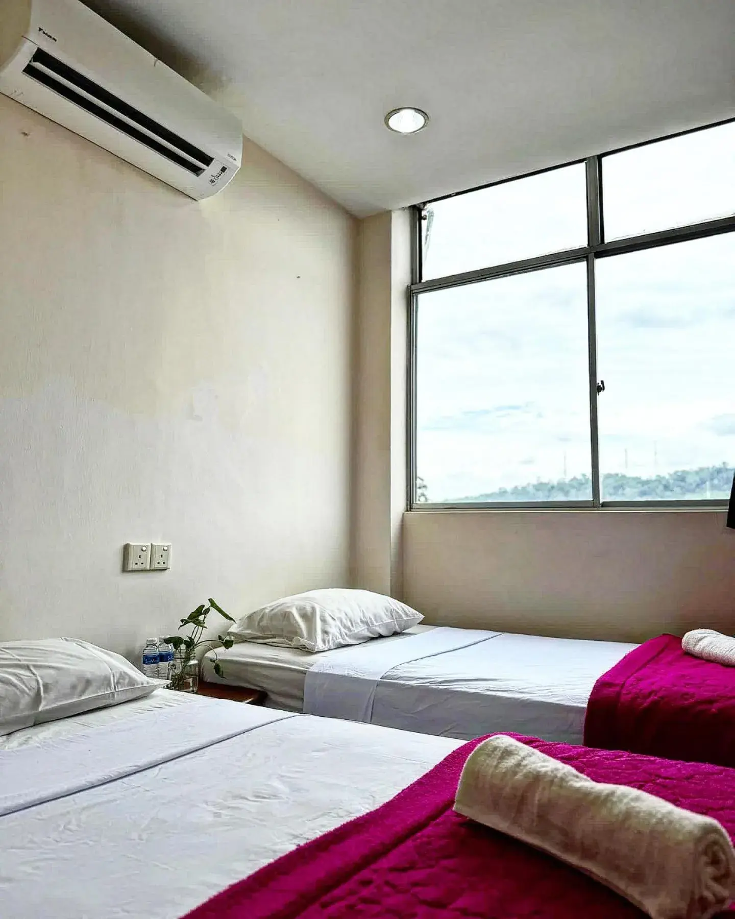 Bed in Town Inn Hotel - Rainforest Bed in Town Inn Hotel - Rainforest