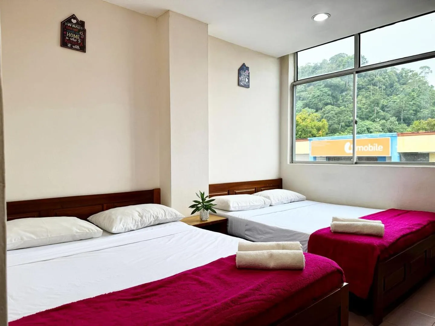 Bedroom, Bed in Town Inn Hotel - Rainforest