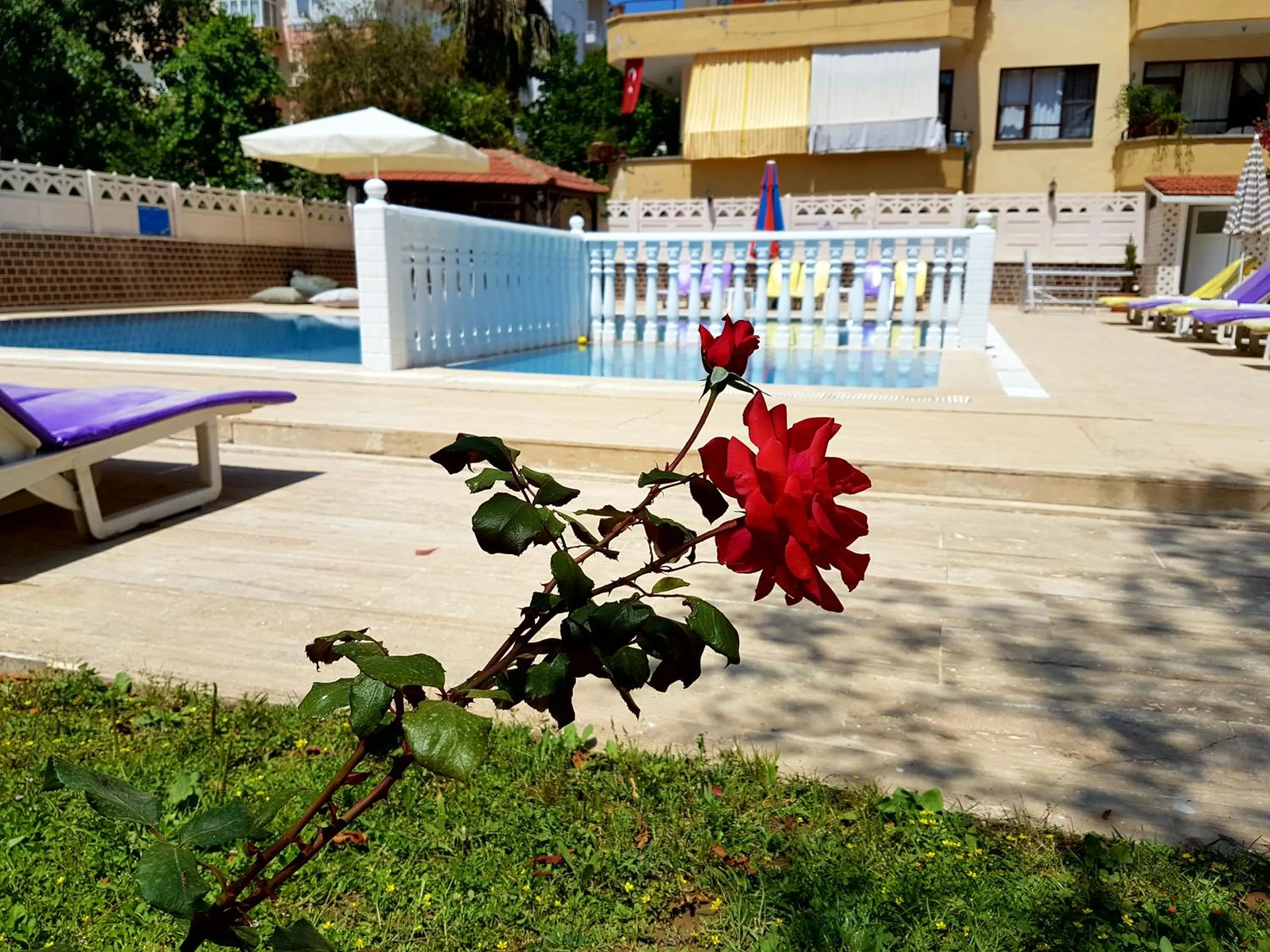 Garden view in Palmen Apart Hotel