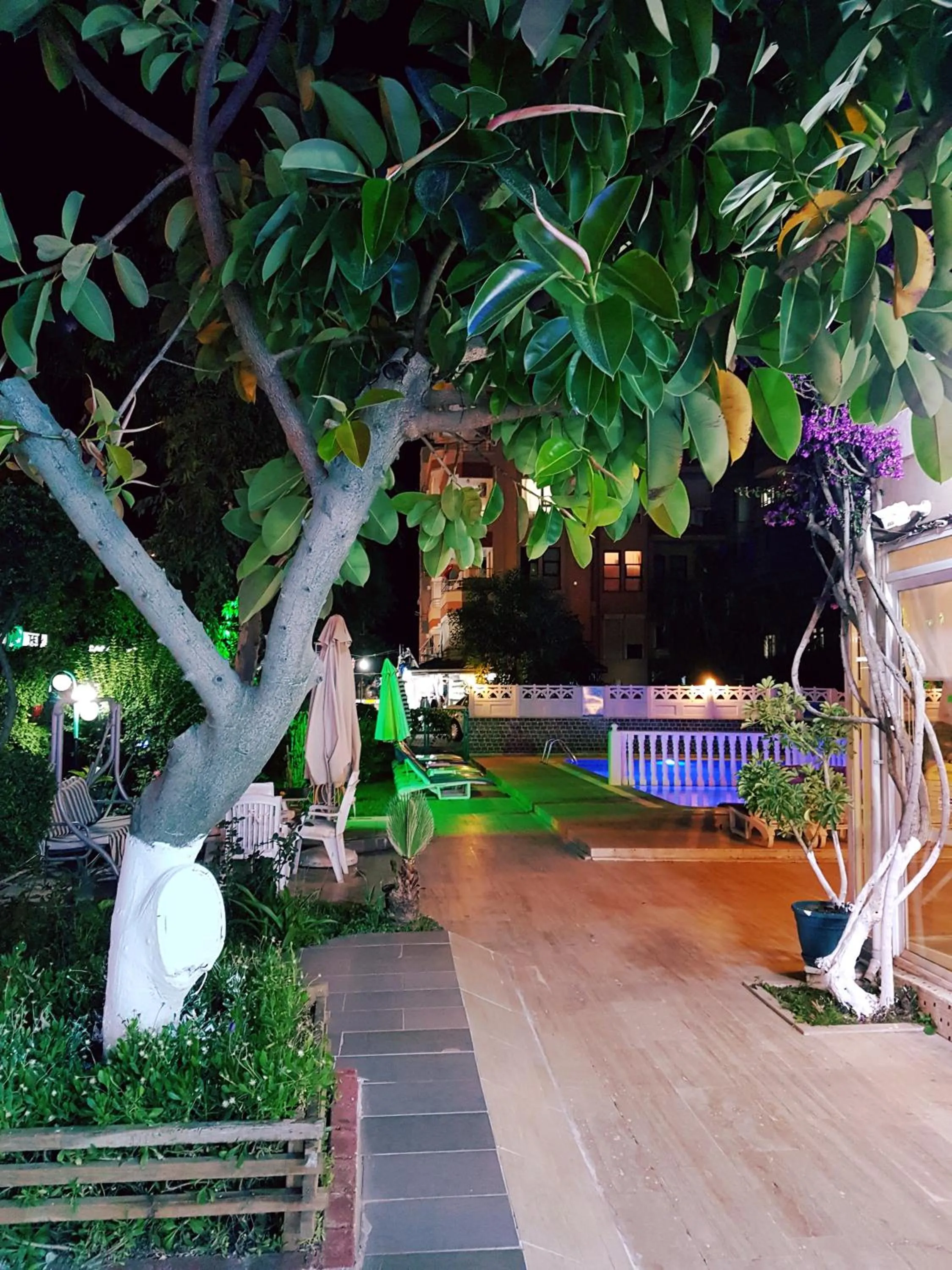 Garden view in Palmen Apart Hotel