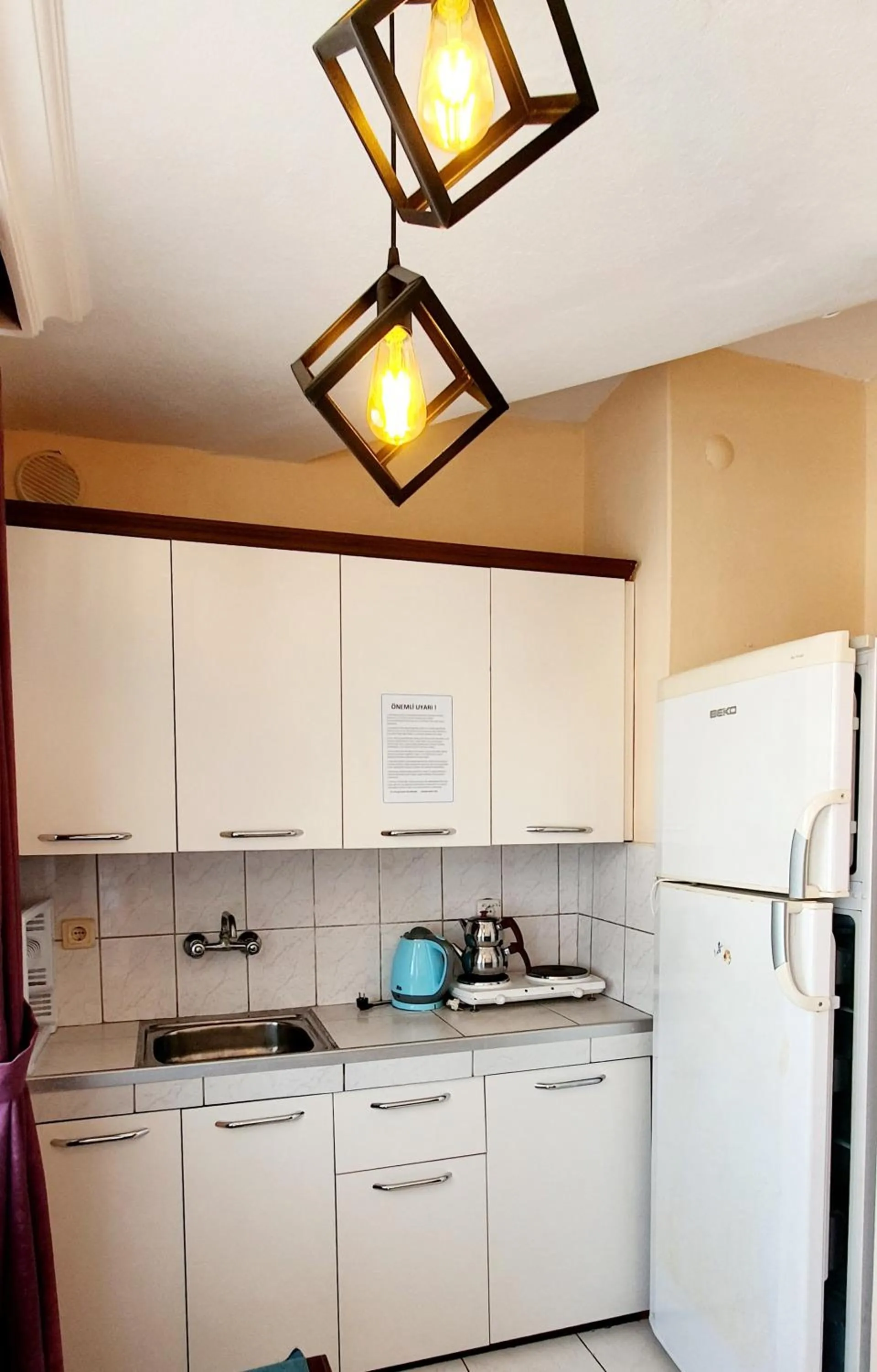 Kitchen or kitchenette in Palmen Apart Hotel