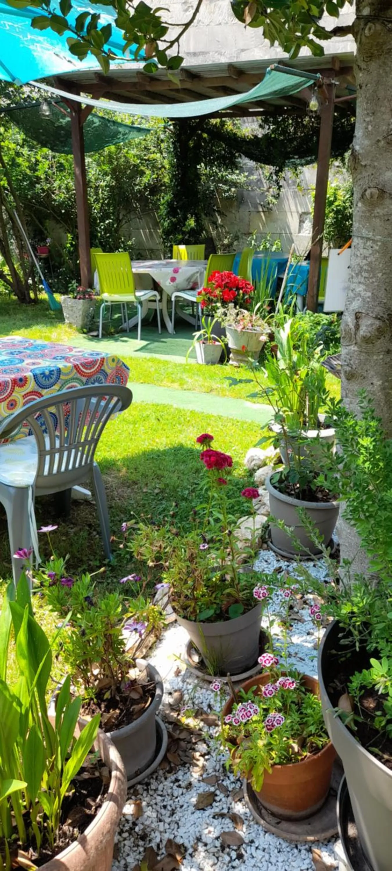 Garden in Le Parisien