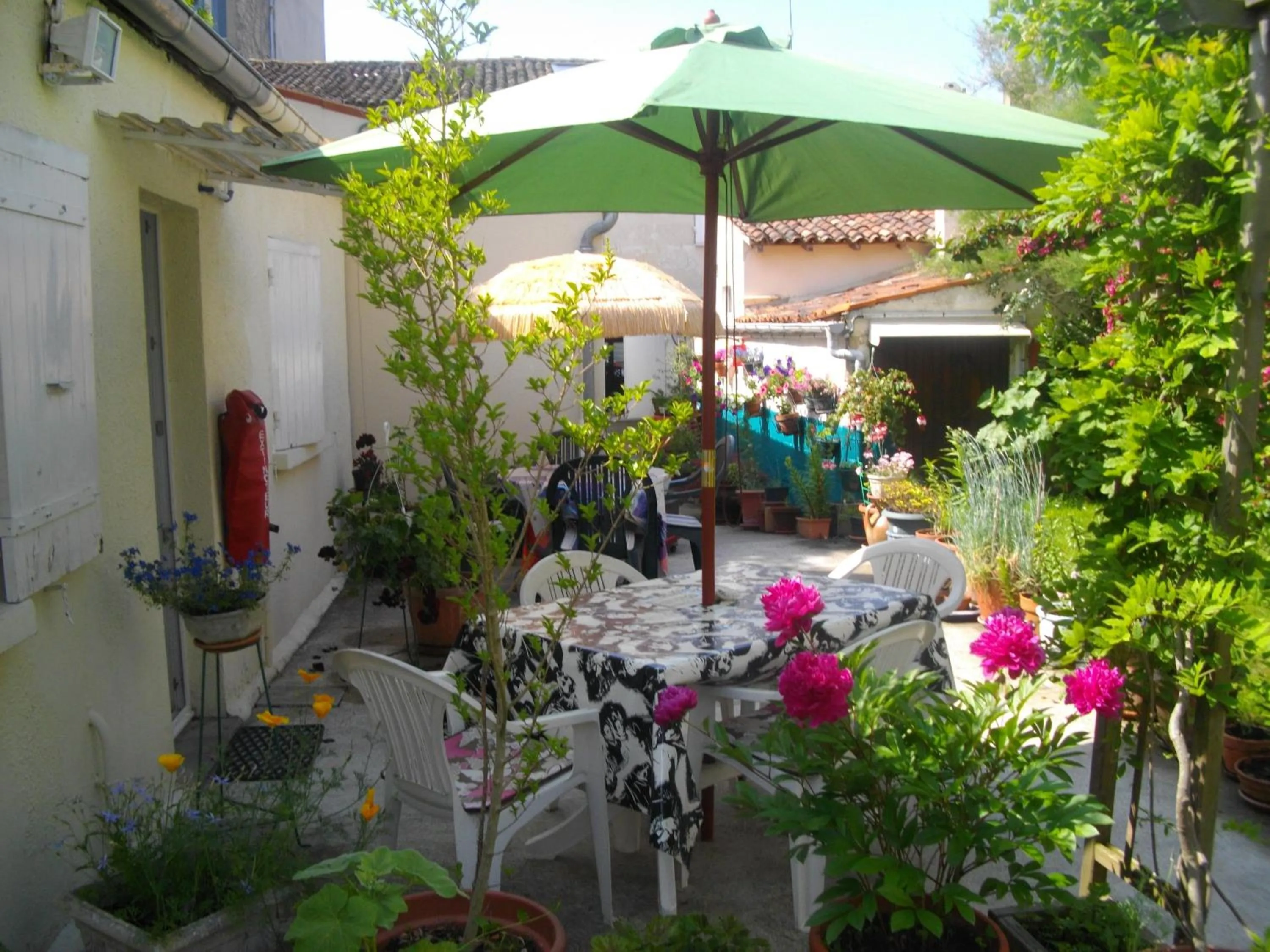 Balcony/Terrace in Le Parisien
