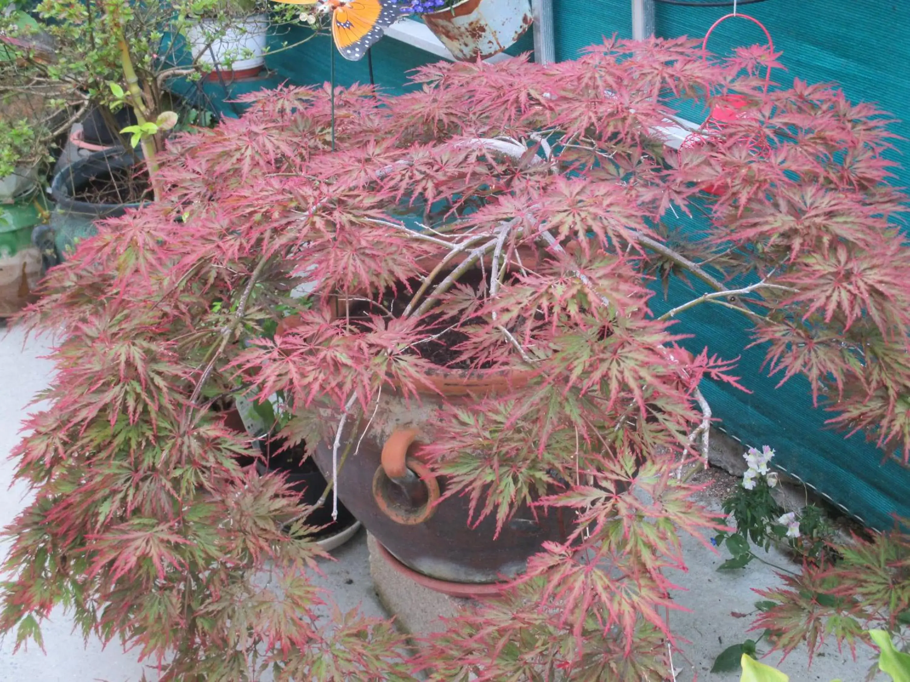 Le Parisien Le Parisien