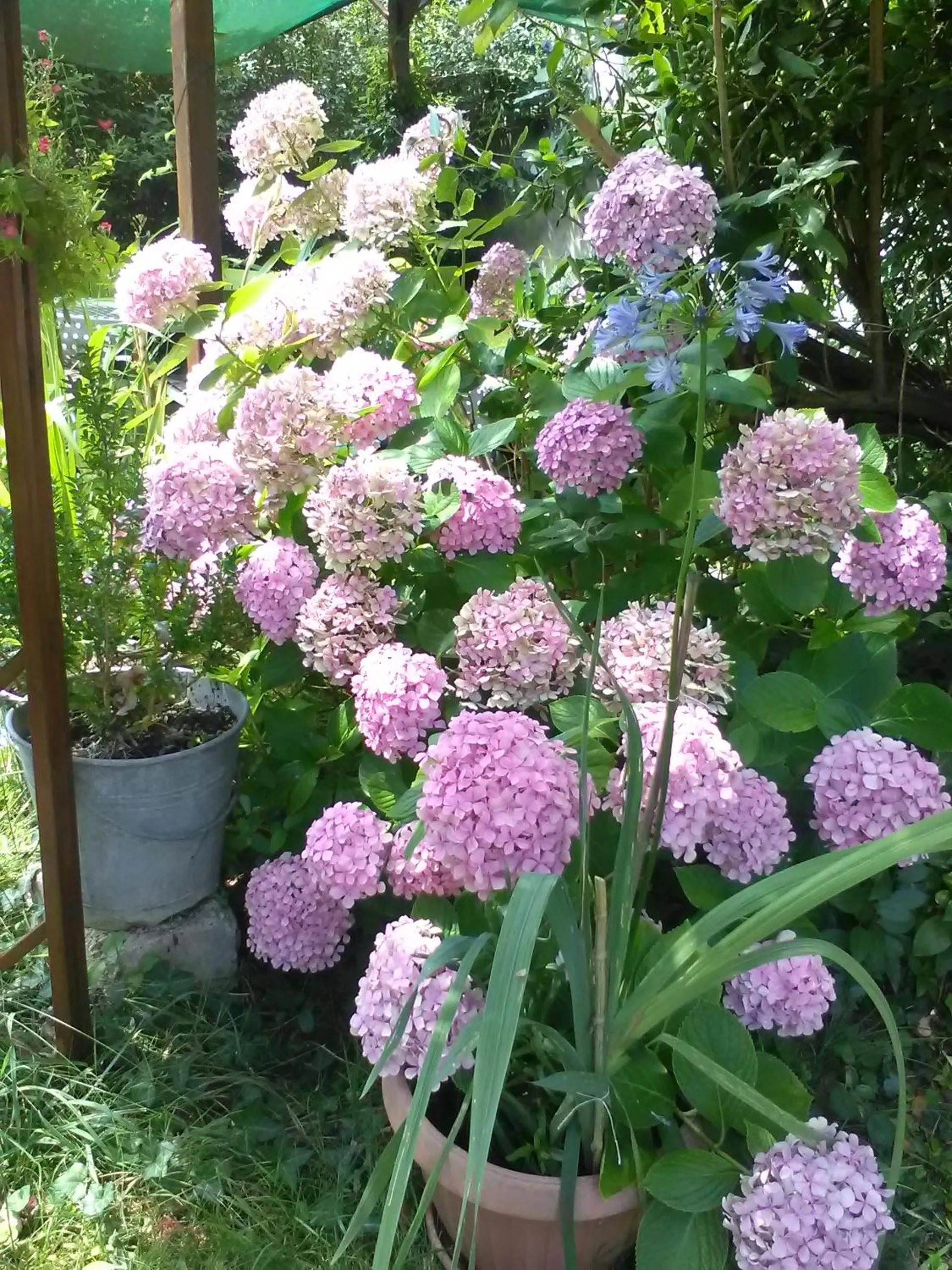 Summer in Le Parisien