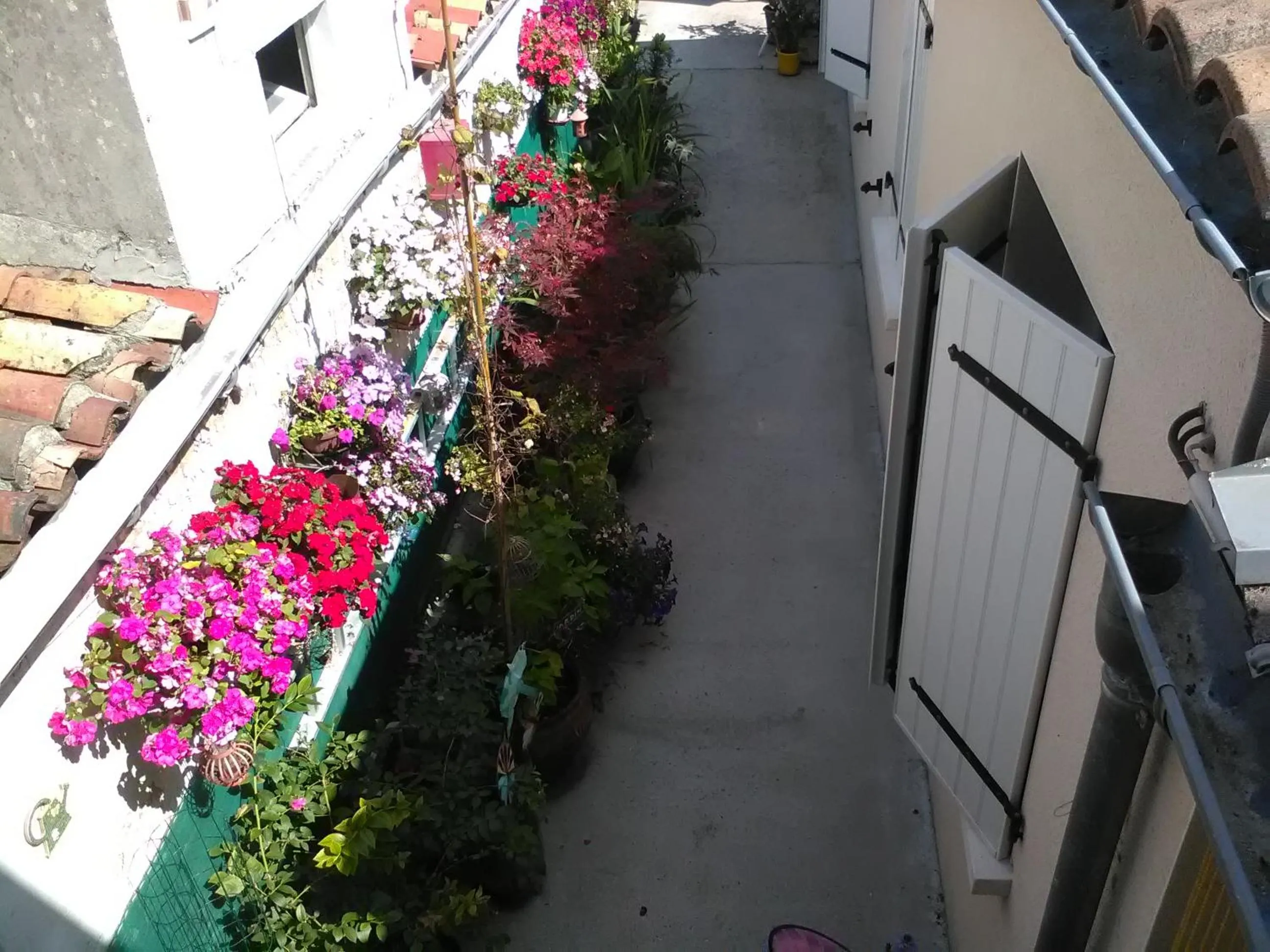 Garden view in Le Parisien