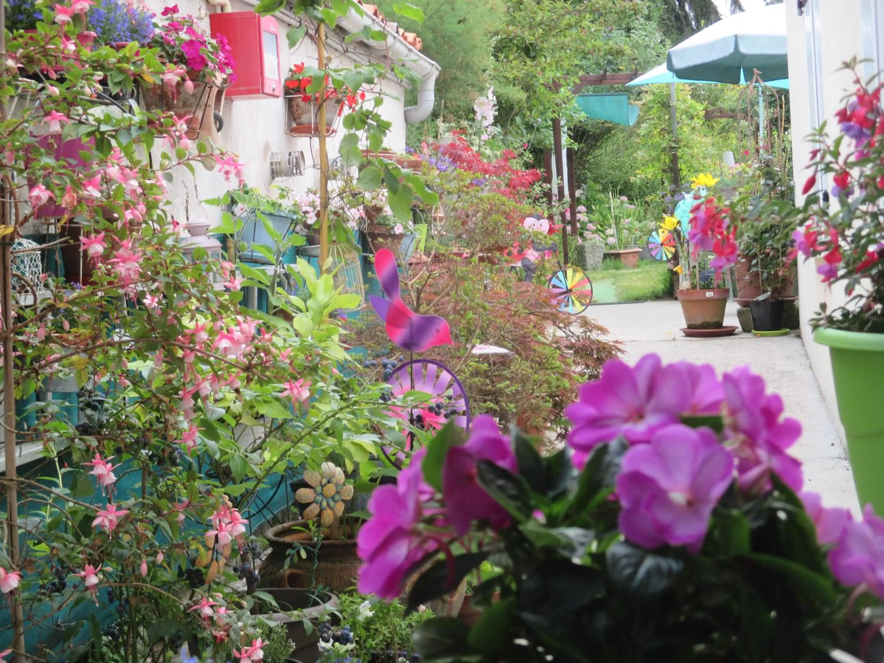 Garden in Le Parisien