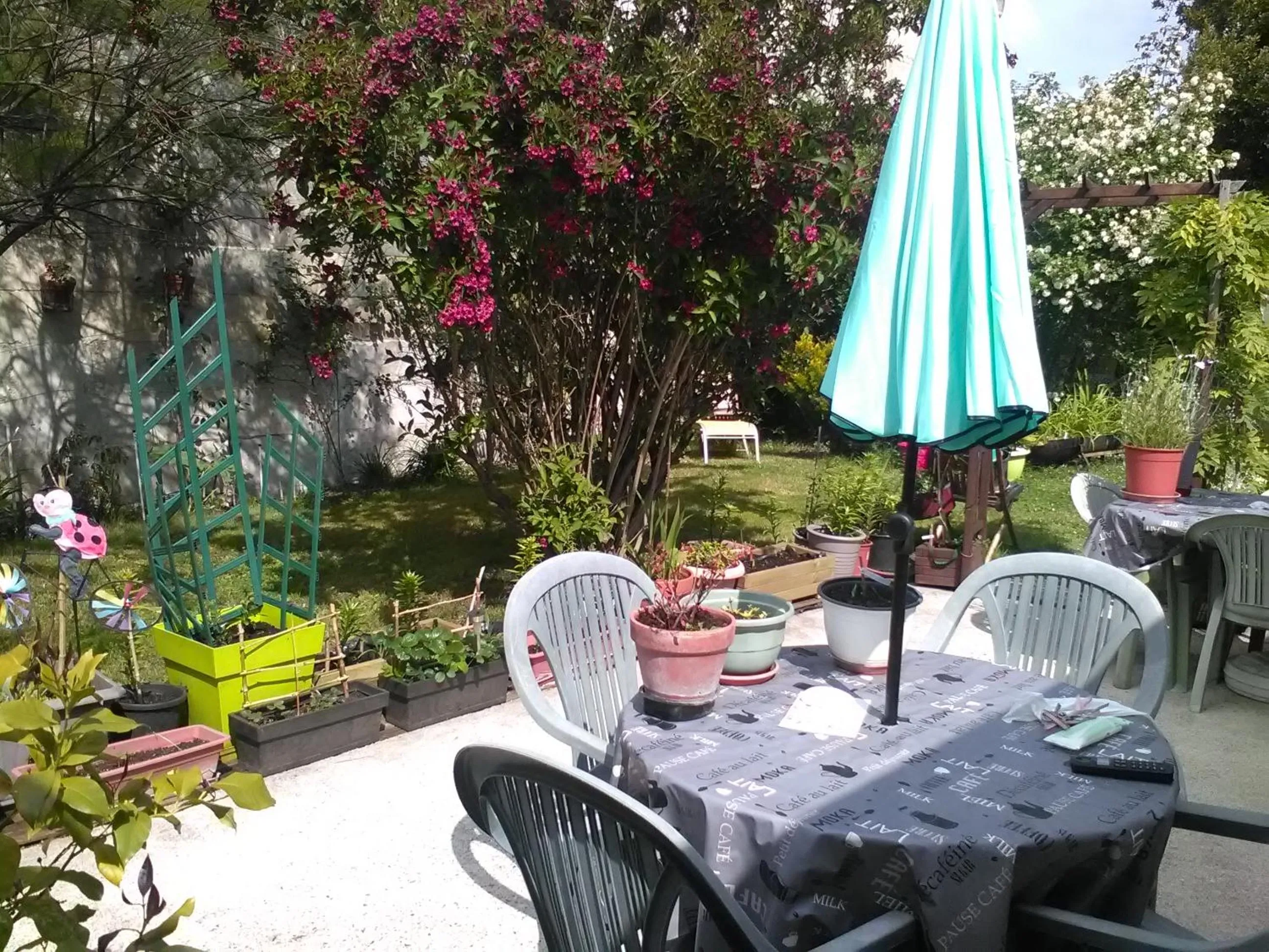 Garden view in Le Parisien