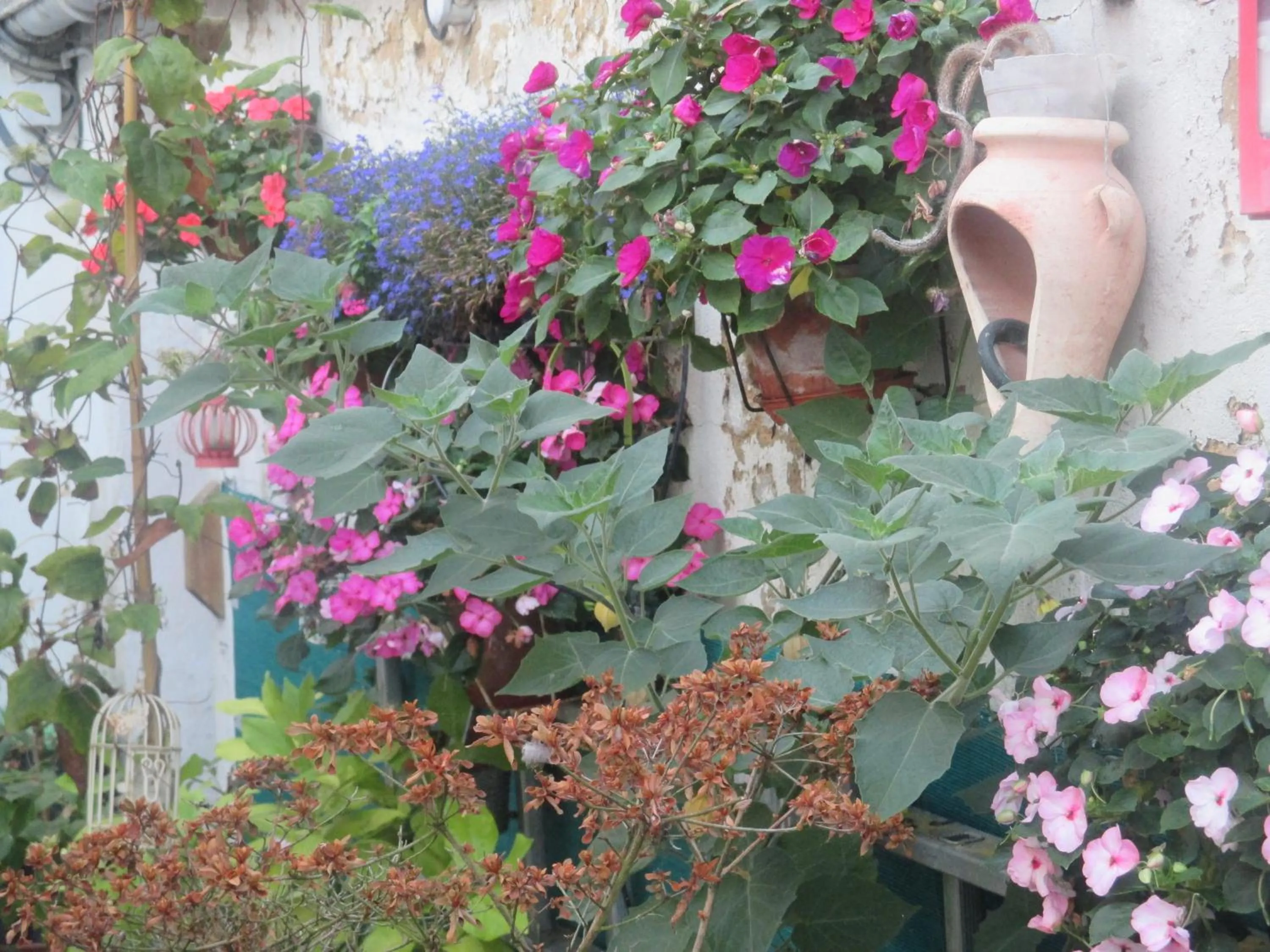 Decorative detail in Le Parisien