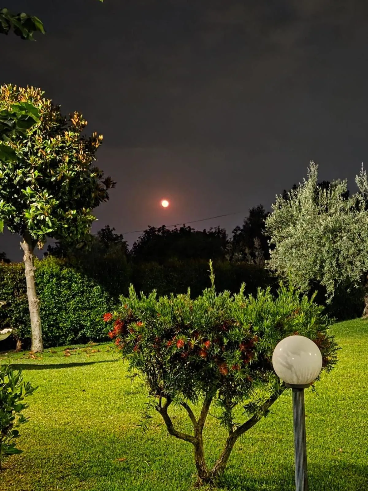Night in B&B BOUTIQUE DI CHARME "ETNA-RELAX-NATURA"