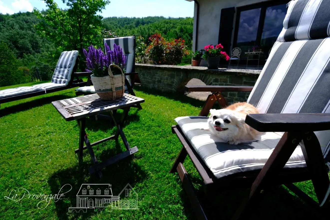 B&B La Provenzale
