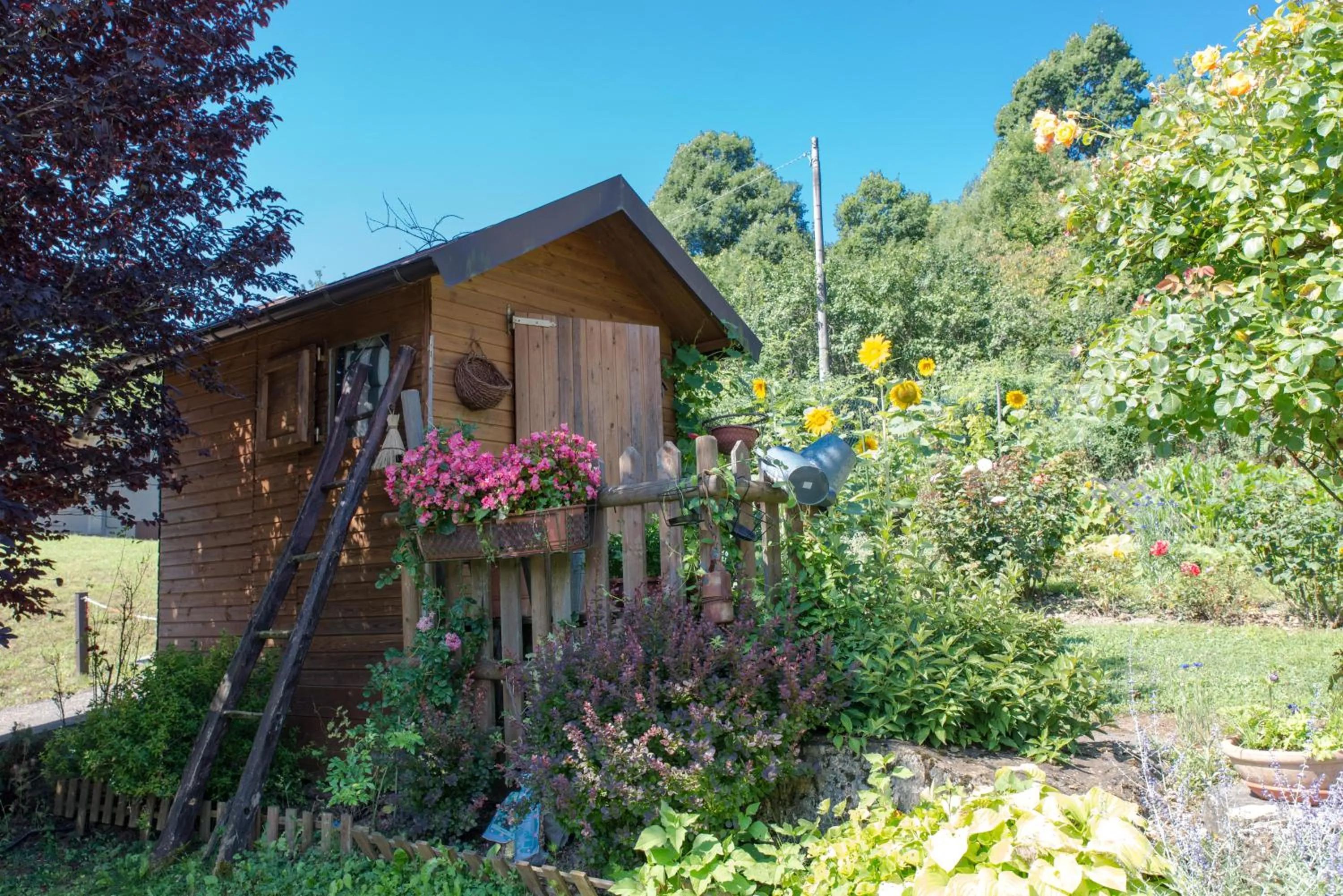 Garden in B&B La Provenzale