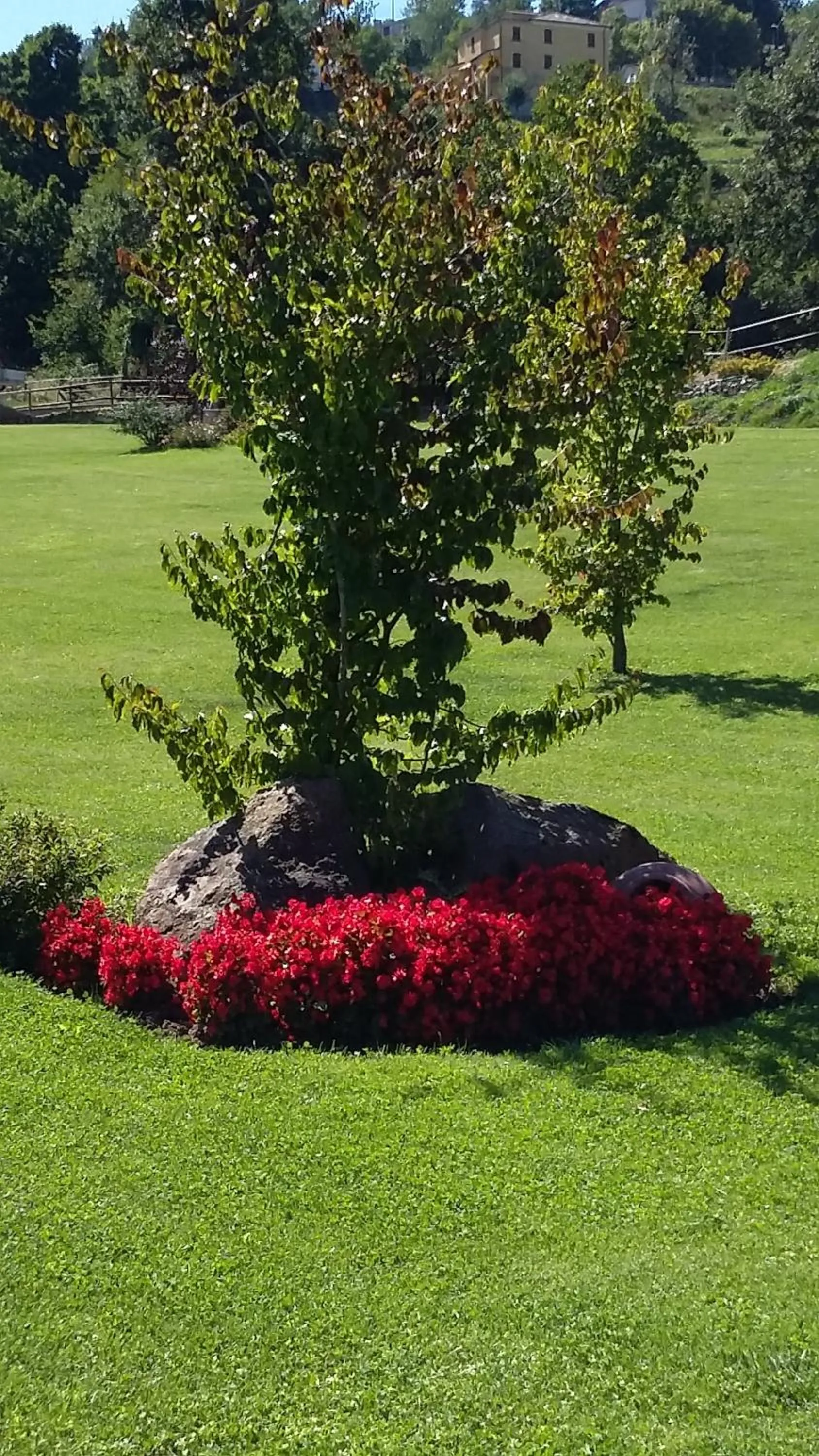 Garden in B&B La Provenzale