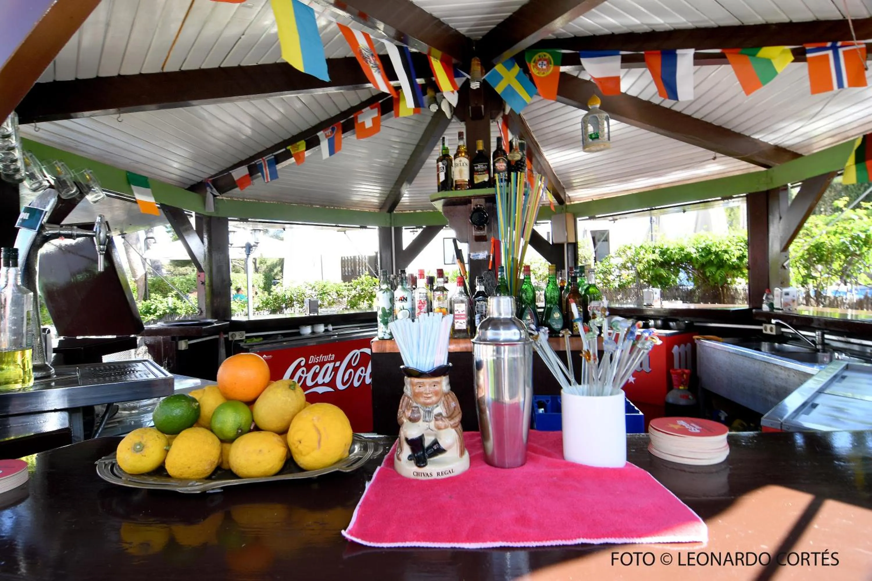 Lounge or bar in Hostal La Ceiba