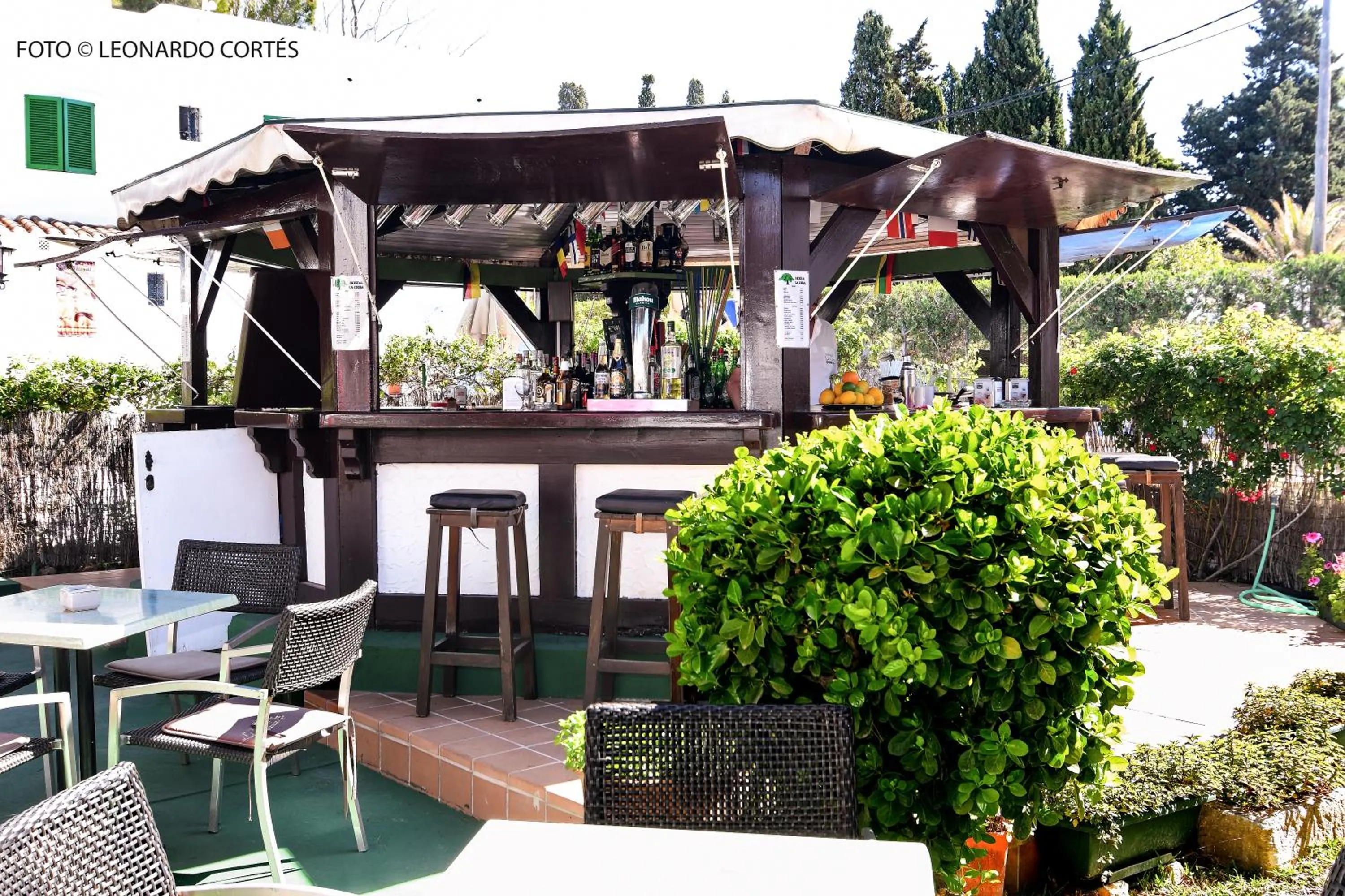 Patio in Hostal La Ceiba