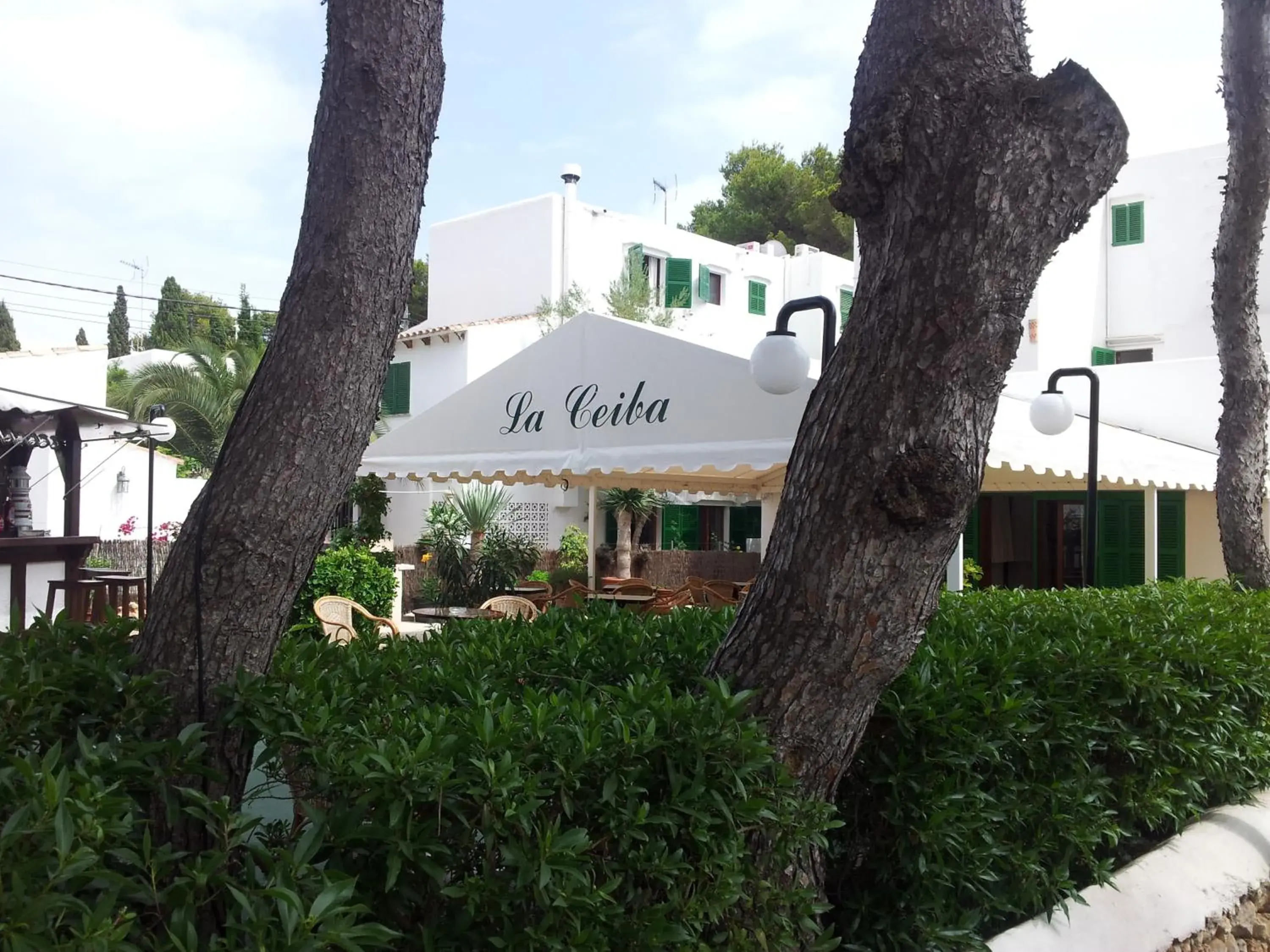 Hostal La Ceiba Hostal La Ceiba
