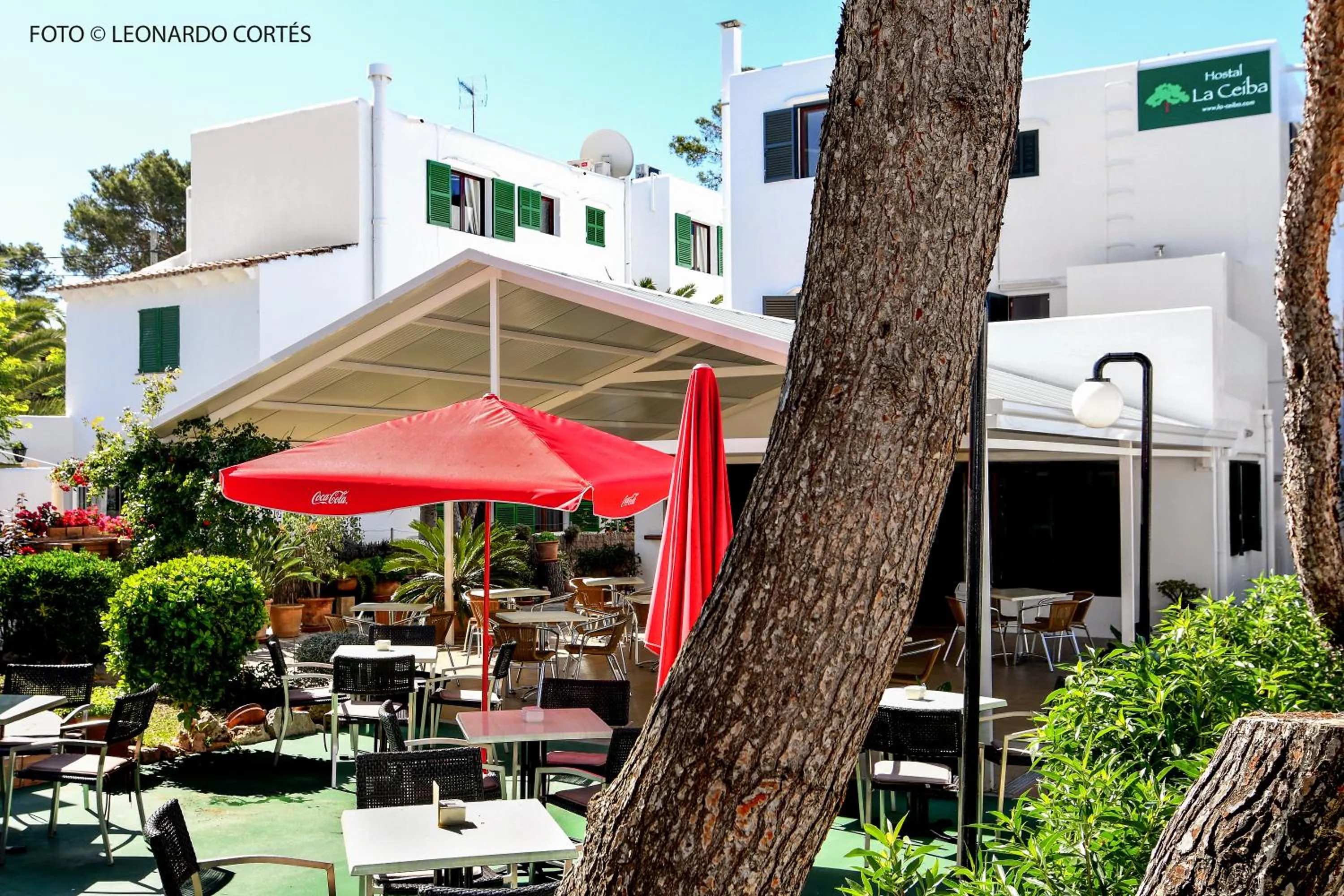 Property building in Hostal La Ceiba