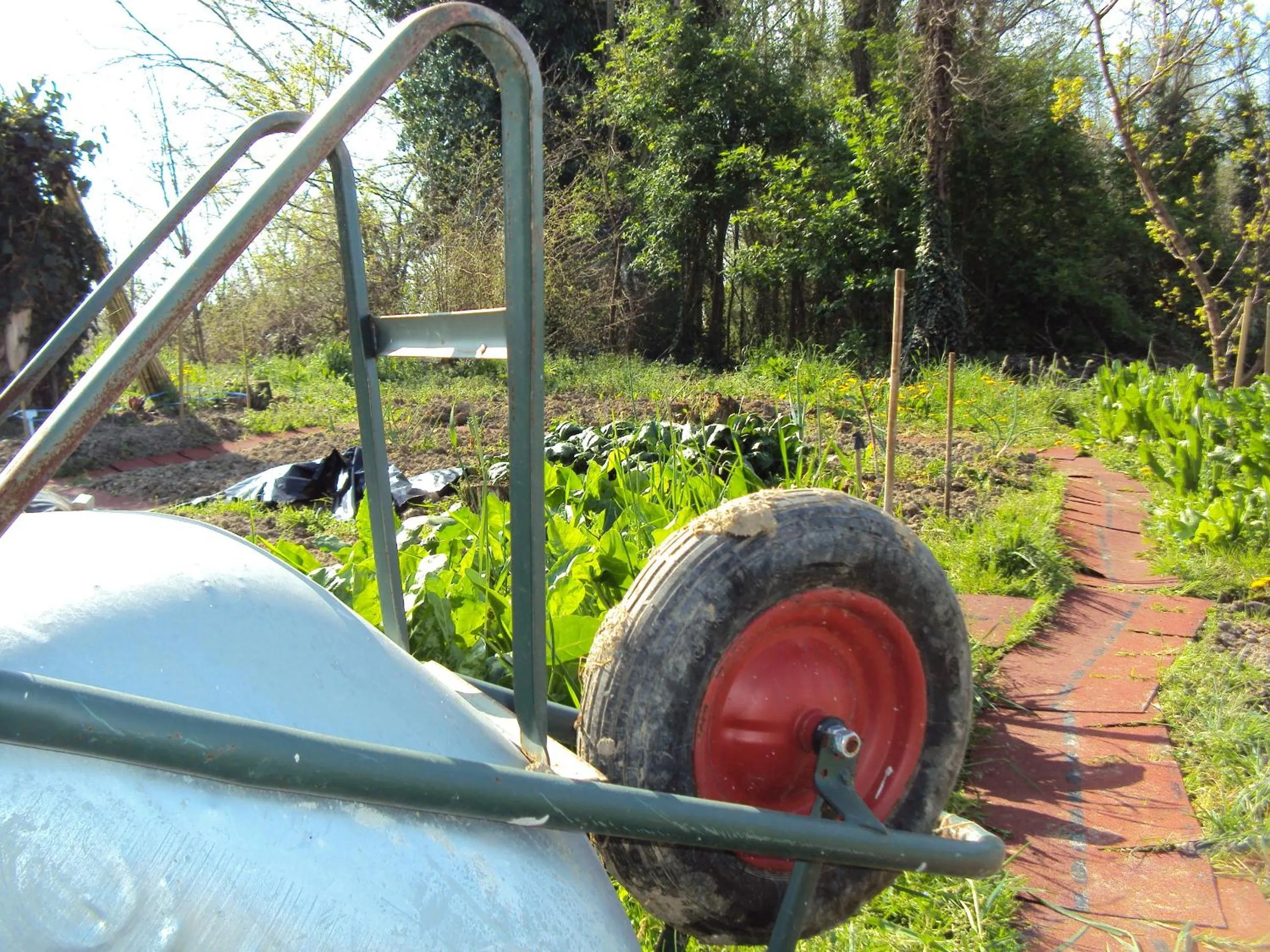 Facade/entrance in Casa di Campagna B&B La Corte Ferrara