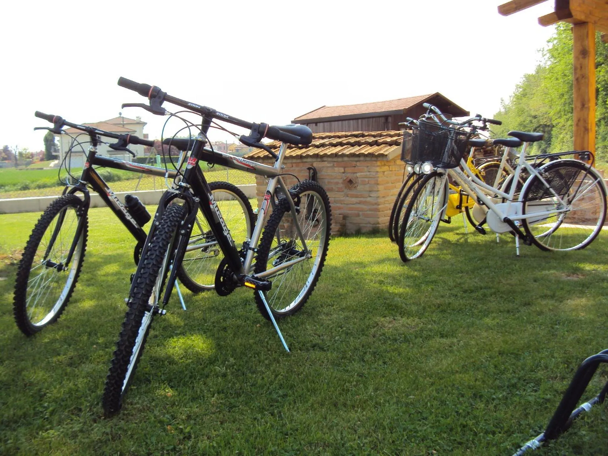 Garden in Casa di Campagna B&B La Corte Ferrara