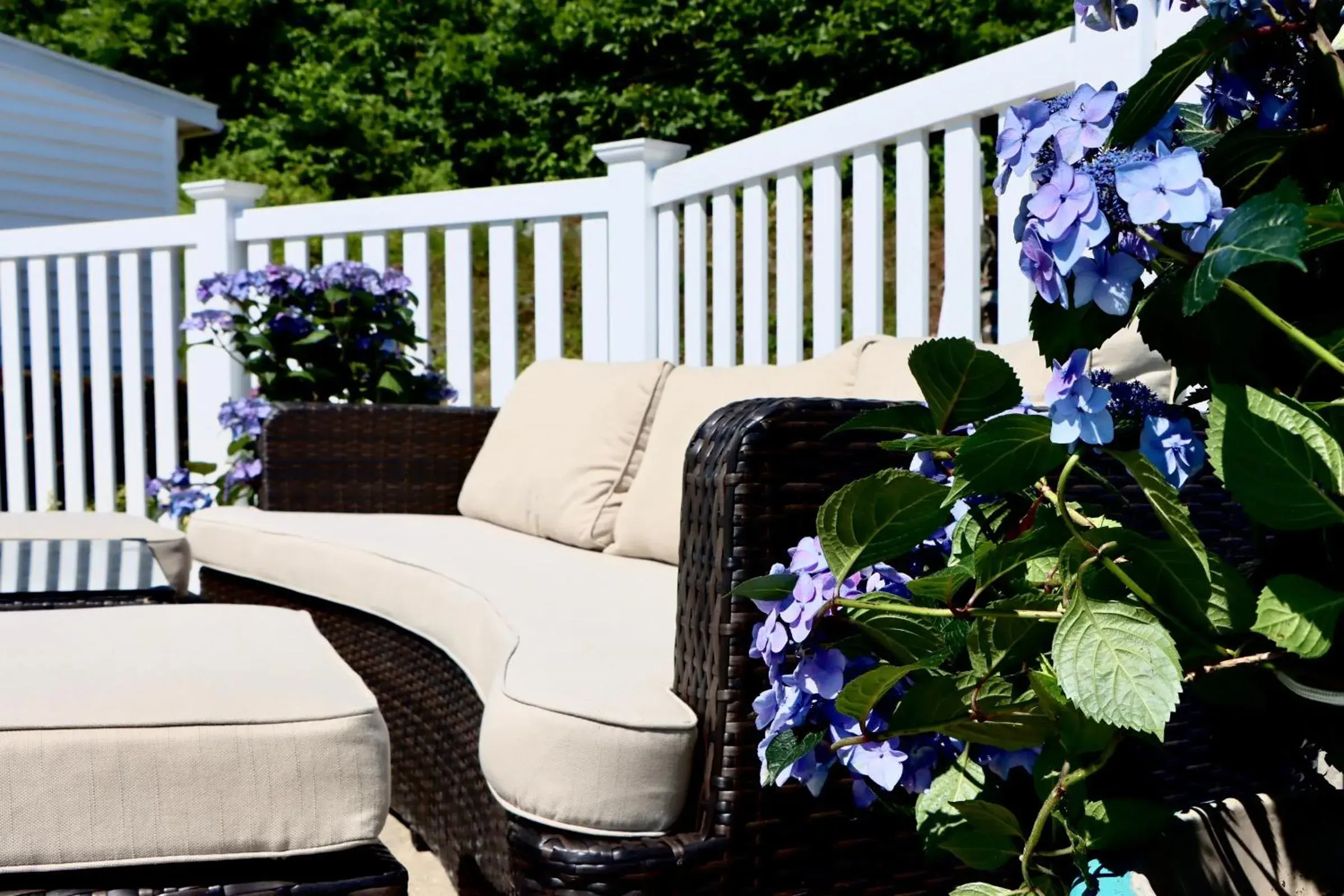 Sea View Motel Sea View Motel