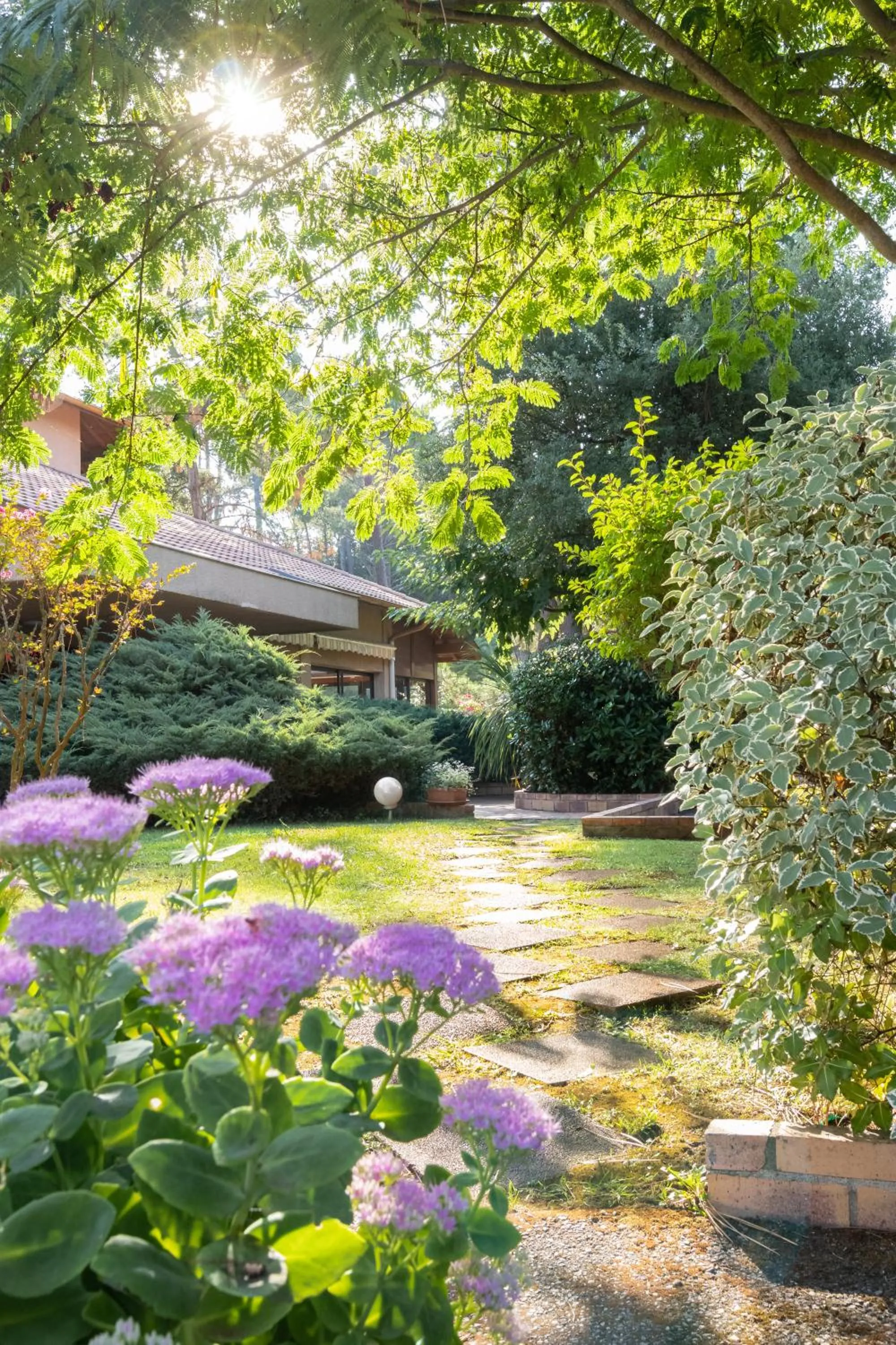 Property building in Résidence Hôtelière les Acanthes