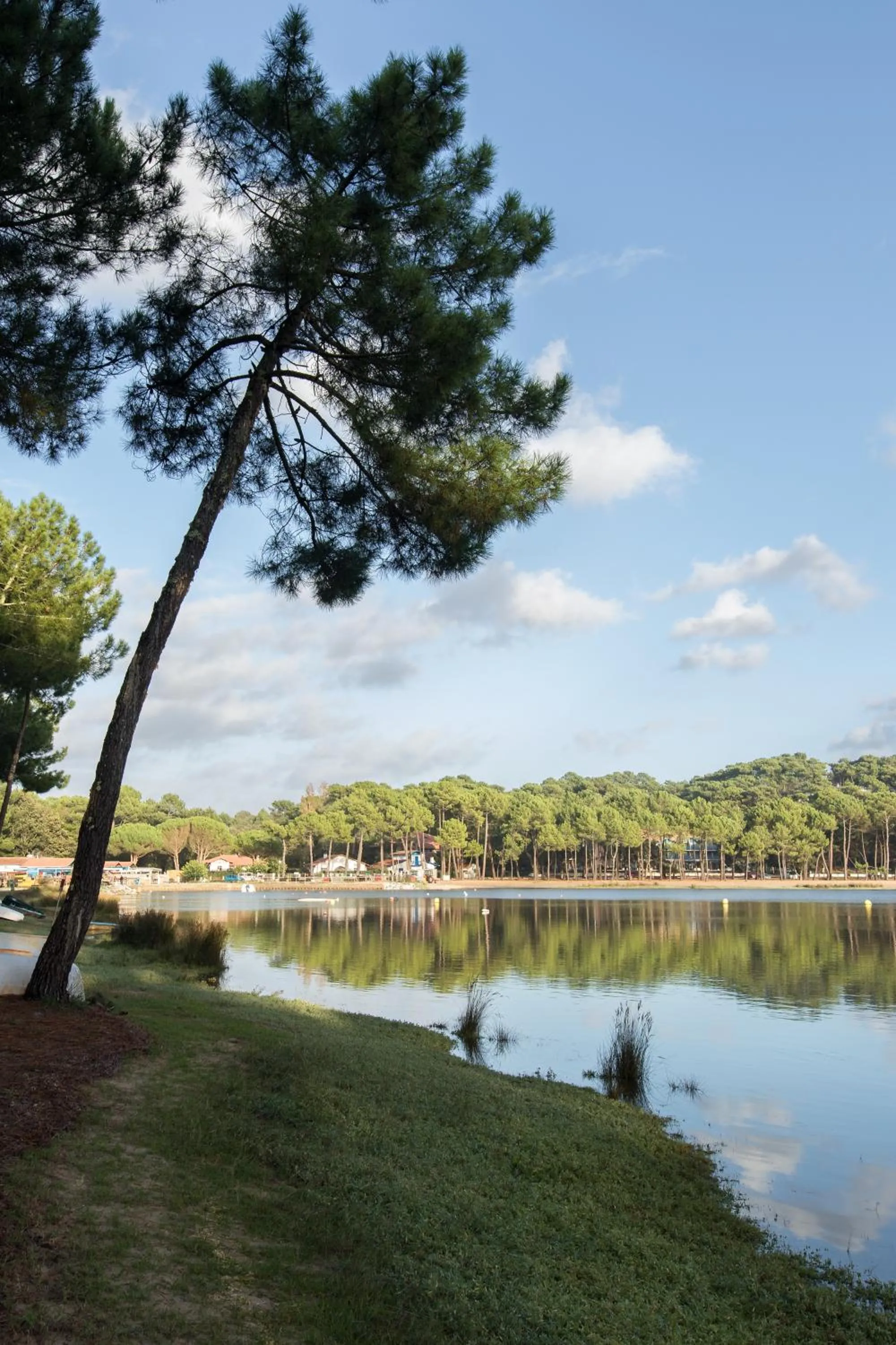 Natural landscape in Résidence Hôtelière les Acanthes