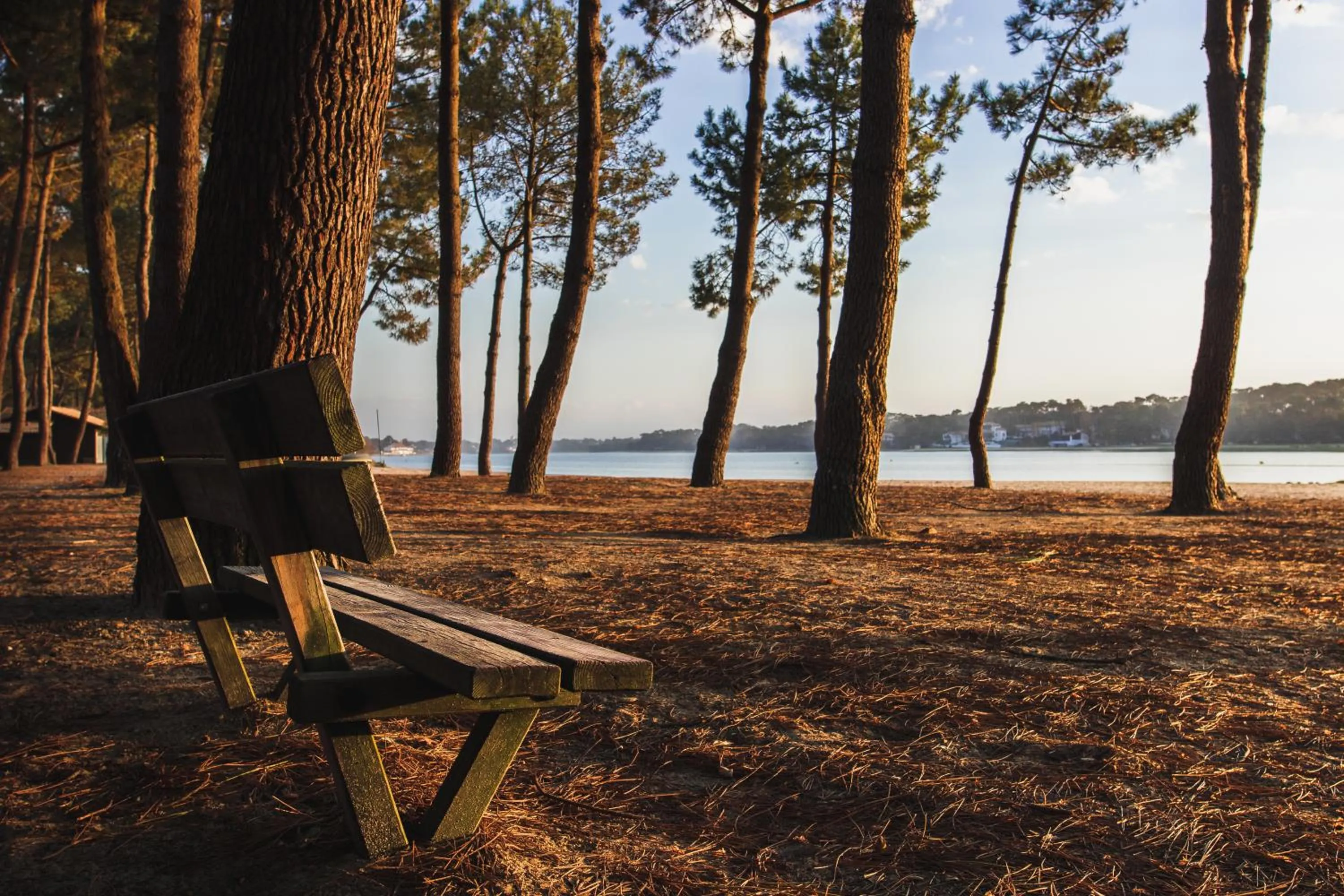 Beach in Résidence Hôtelière les Acanthes
