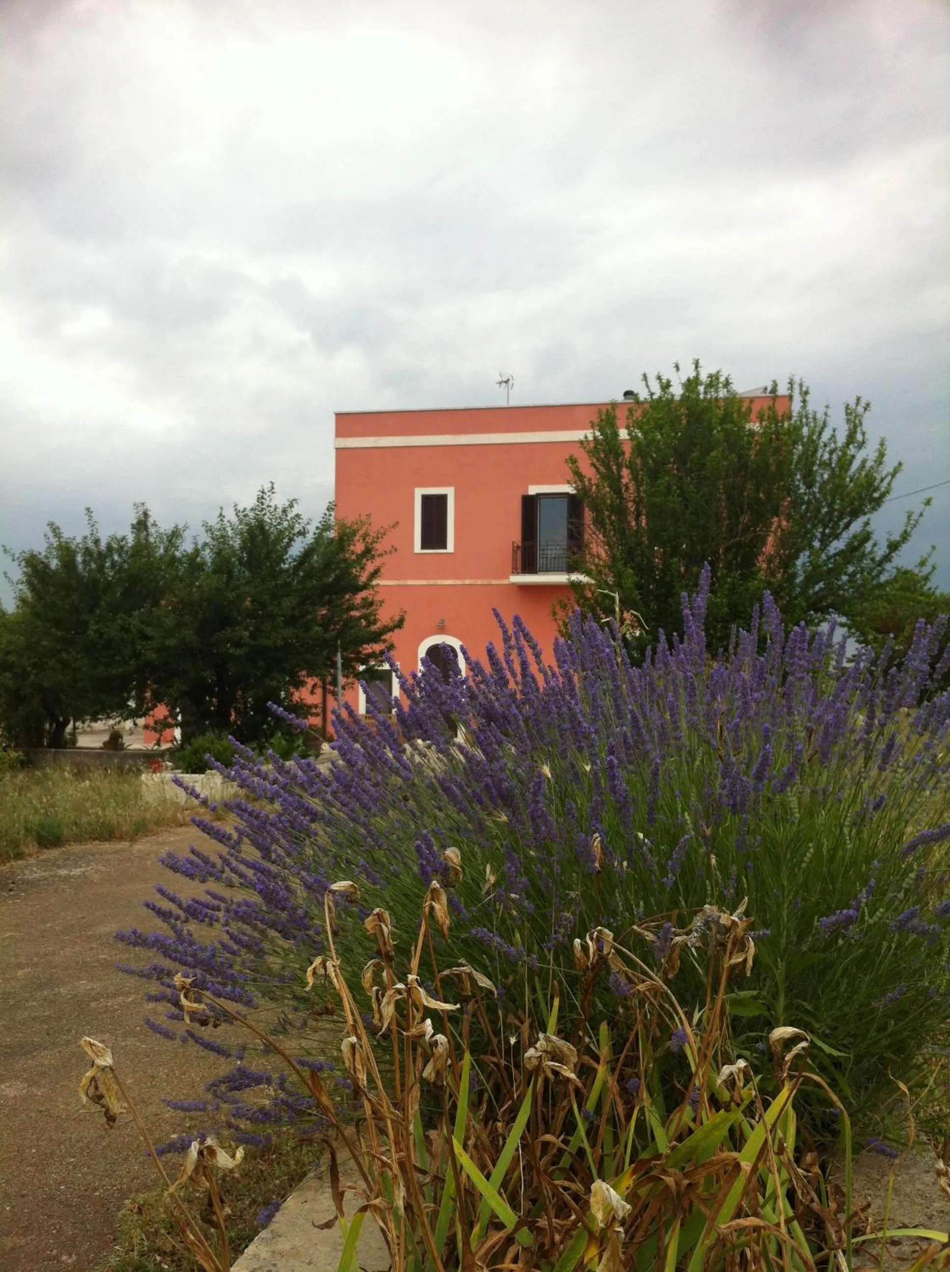 Facade/entrance in B&B Coccio Pesto