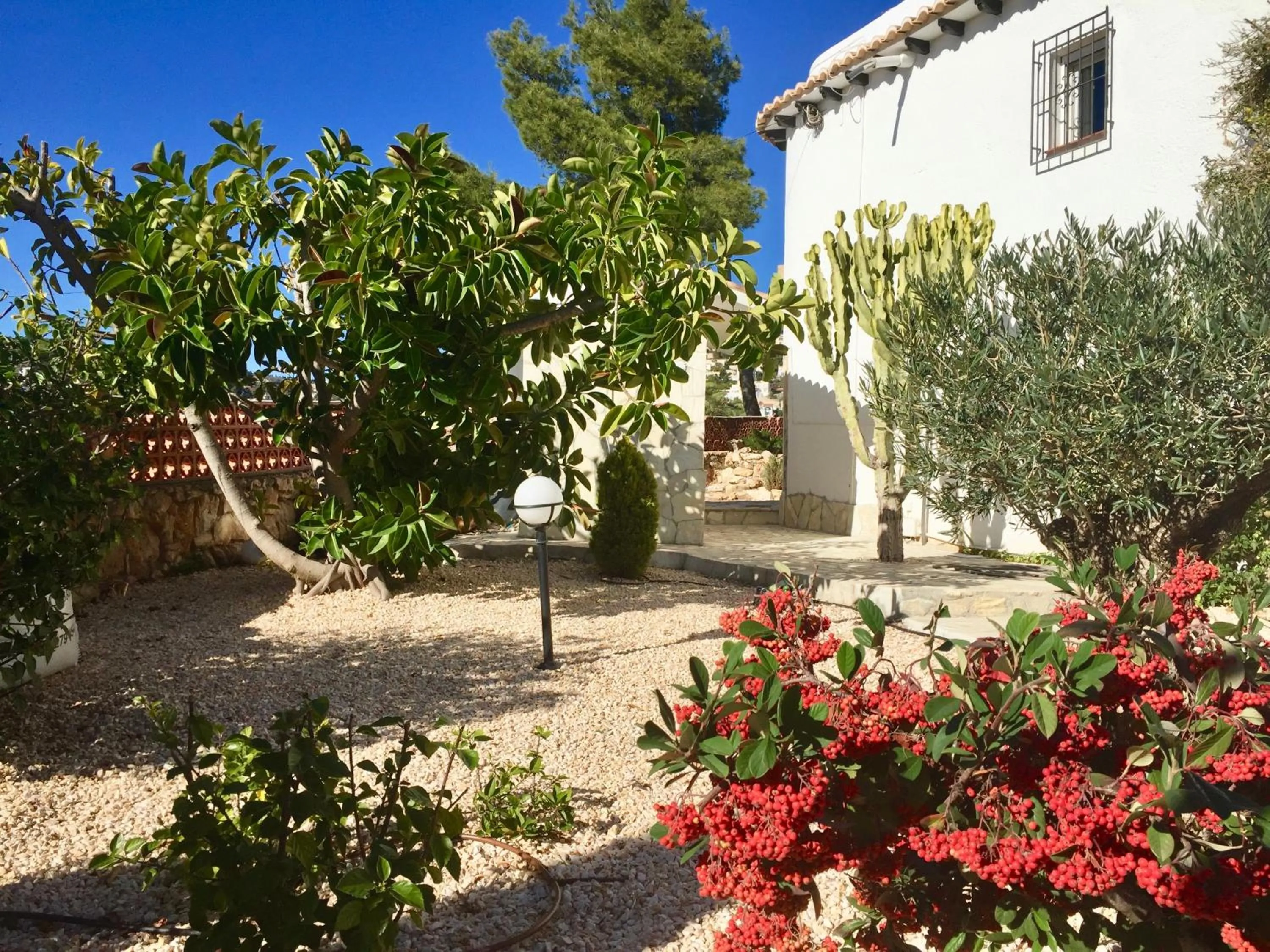 Garden view in Apartamento Villa Joya