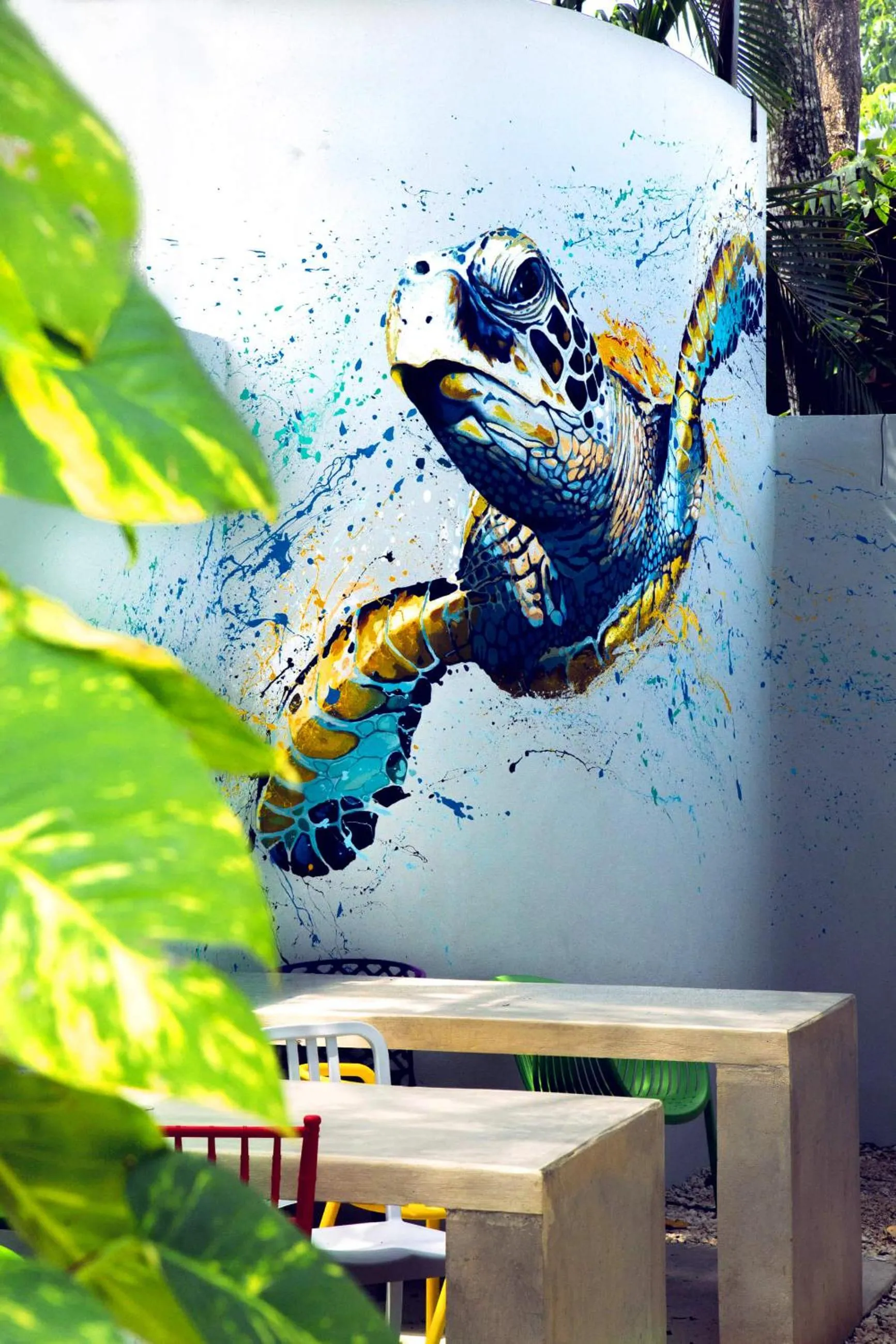 Dining area in Hostel Frente al Mar Tropico 20º