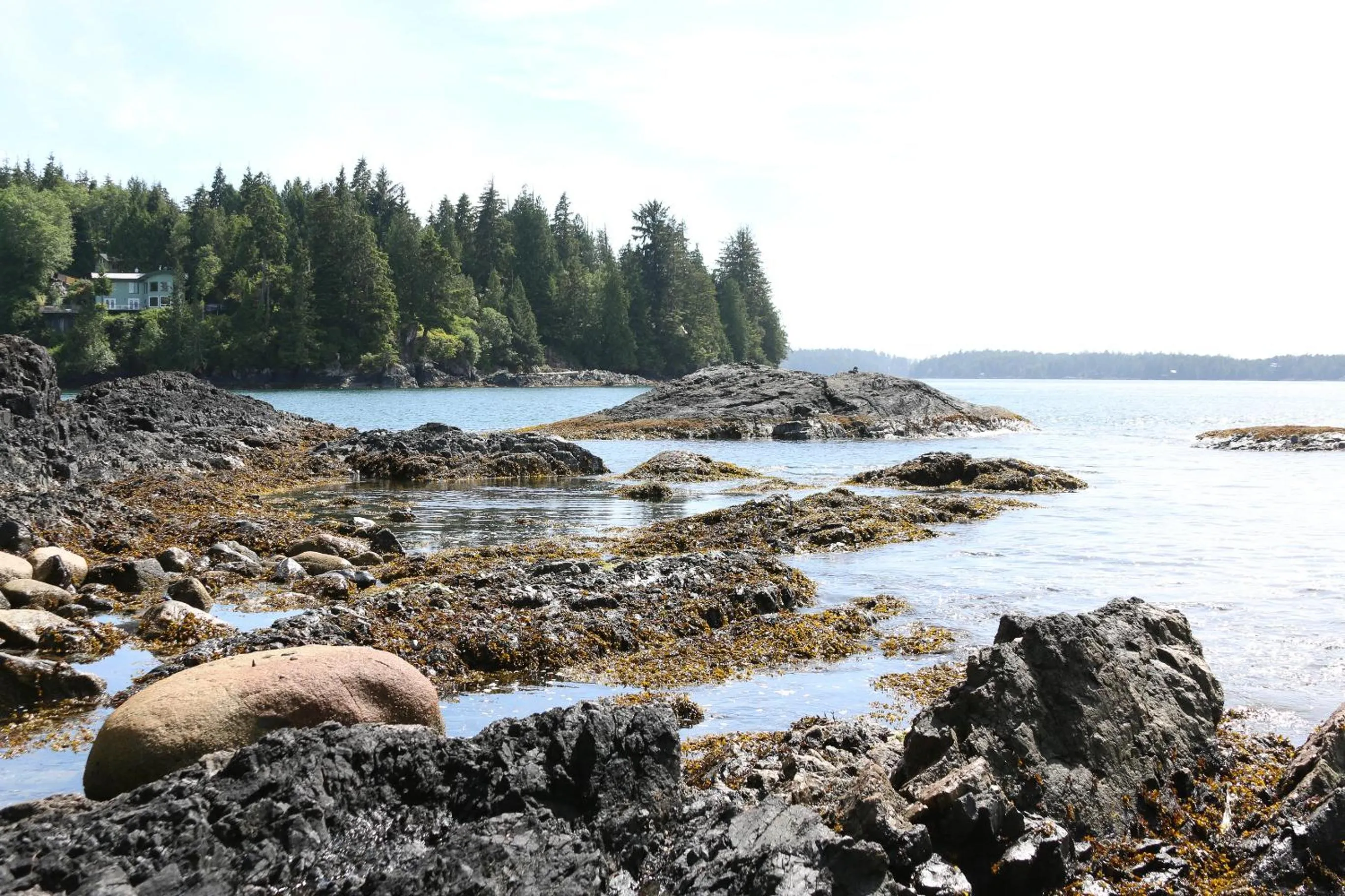 Natural landscape in Duffin Cove Resort