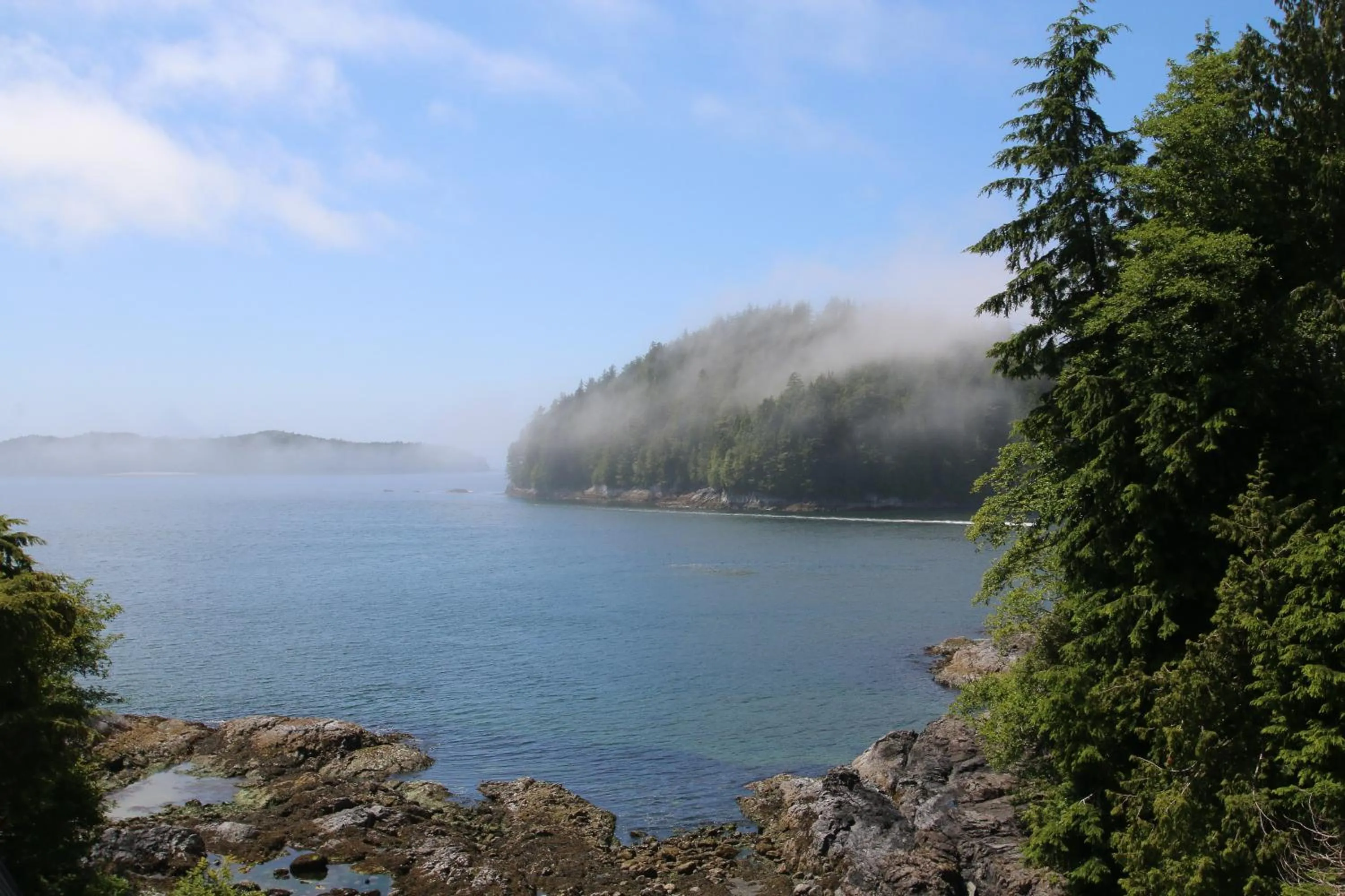View (from property/room) in Duffin Cove Resort