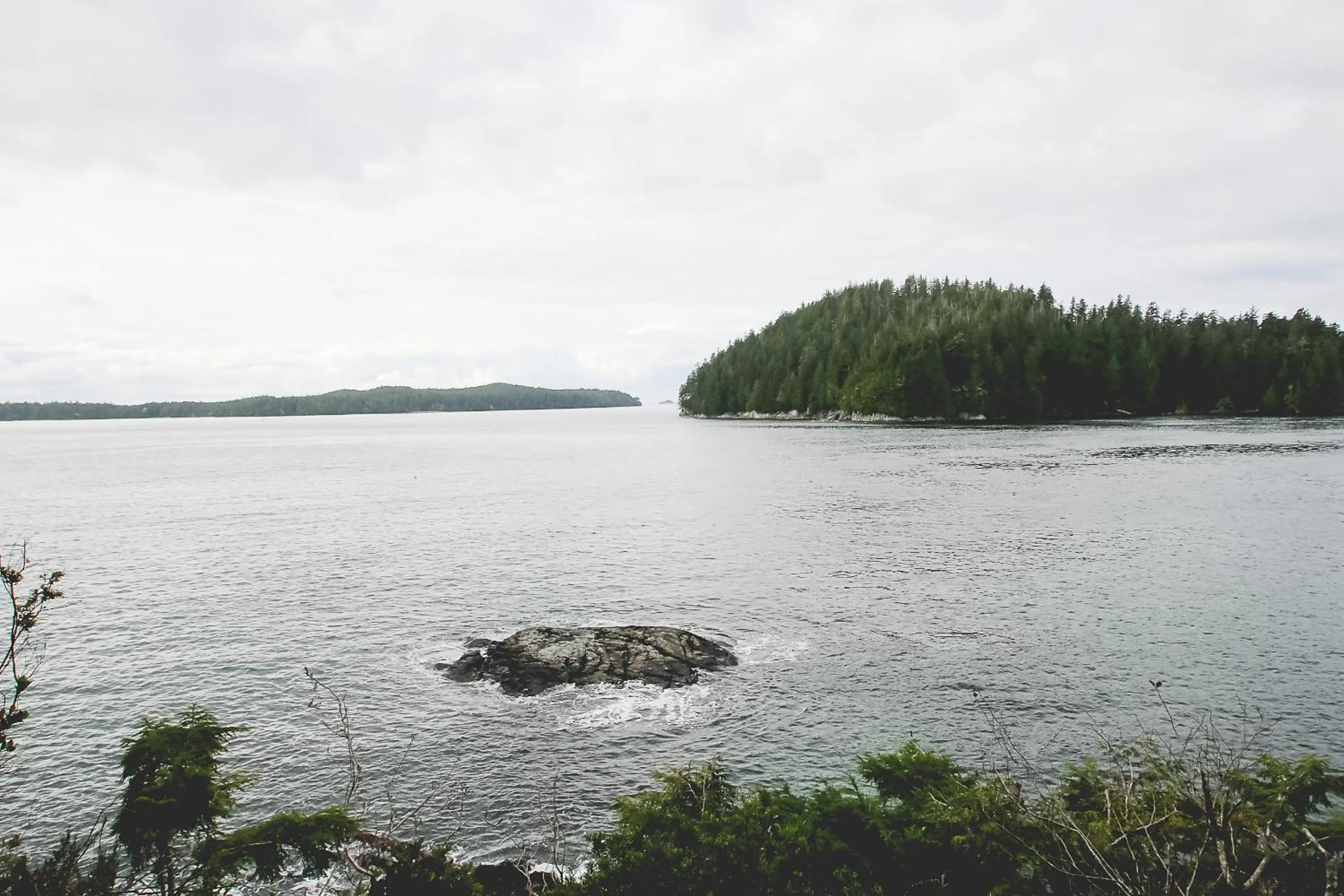Sea view in Duffin Cove Resort