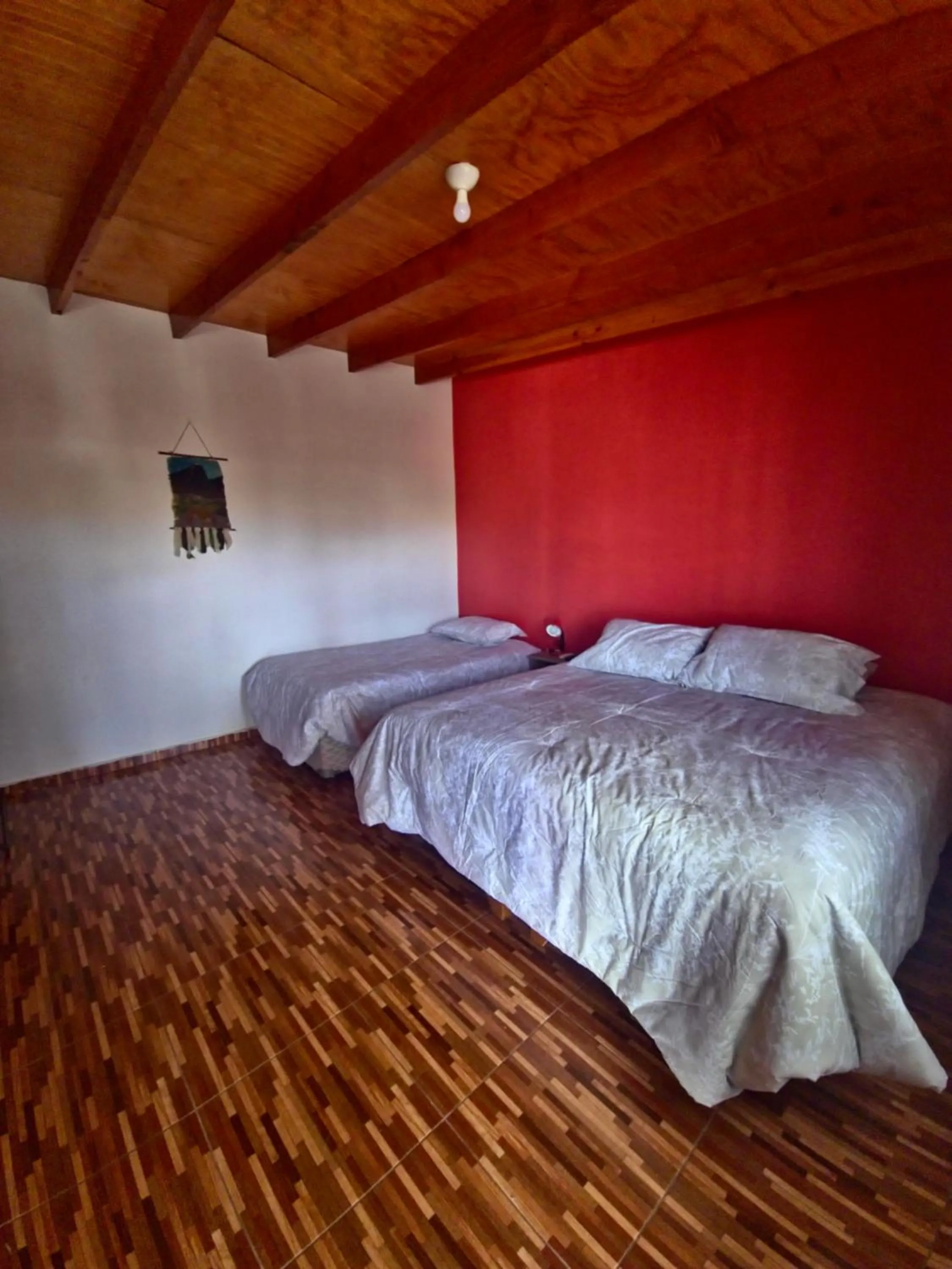 Bed in Hostal Perita