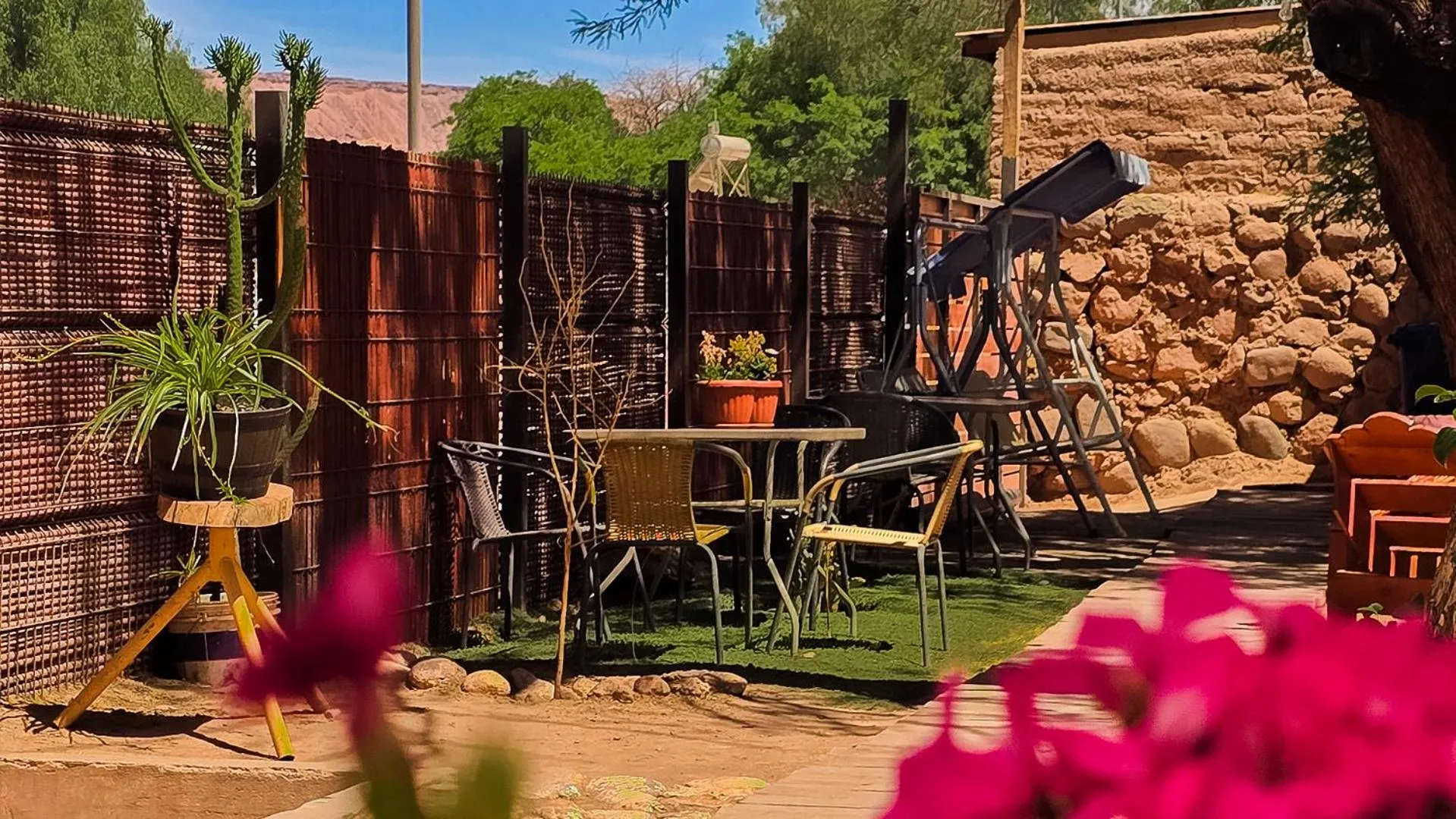 Garden in Hostal Perita