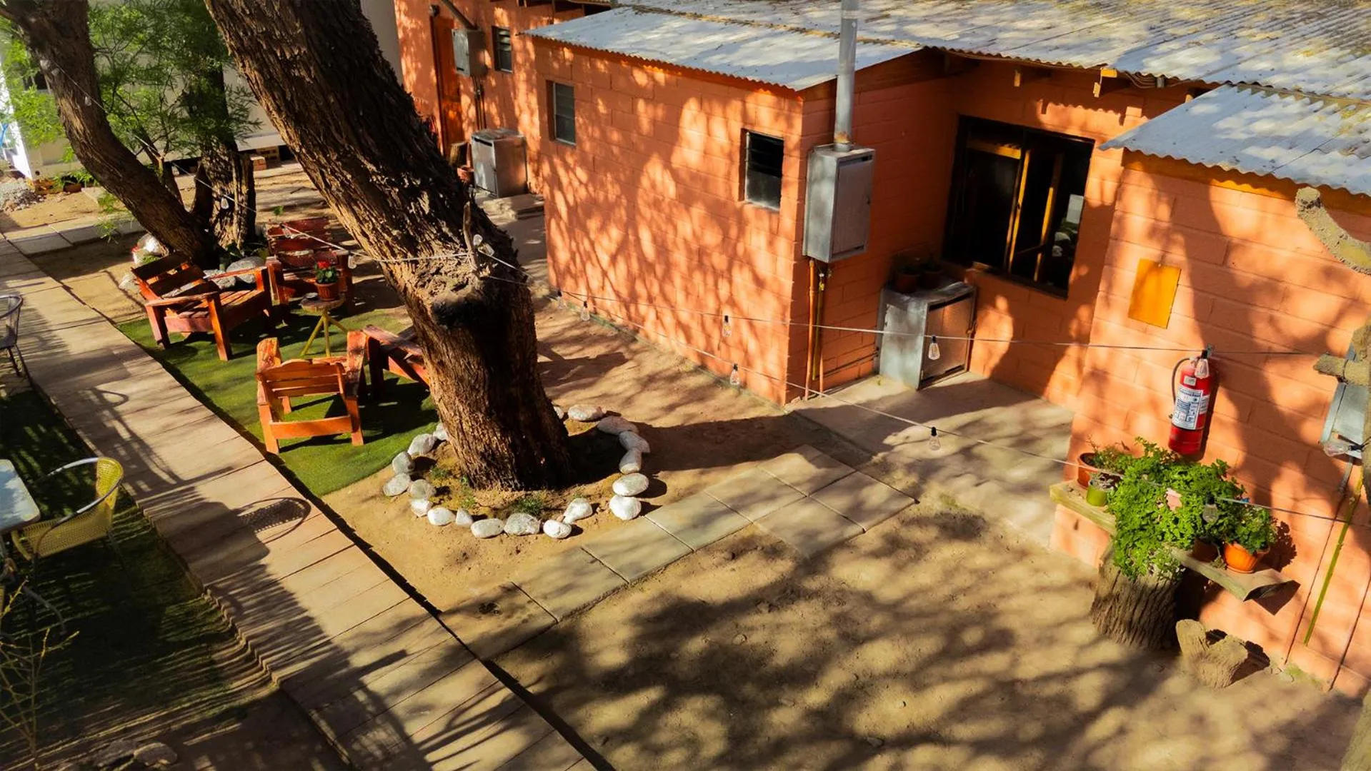 Garden in Hostal Perita