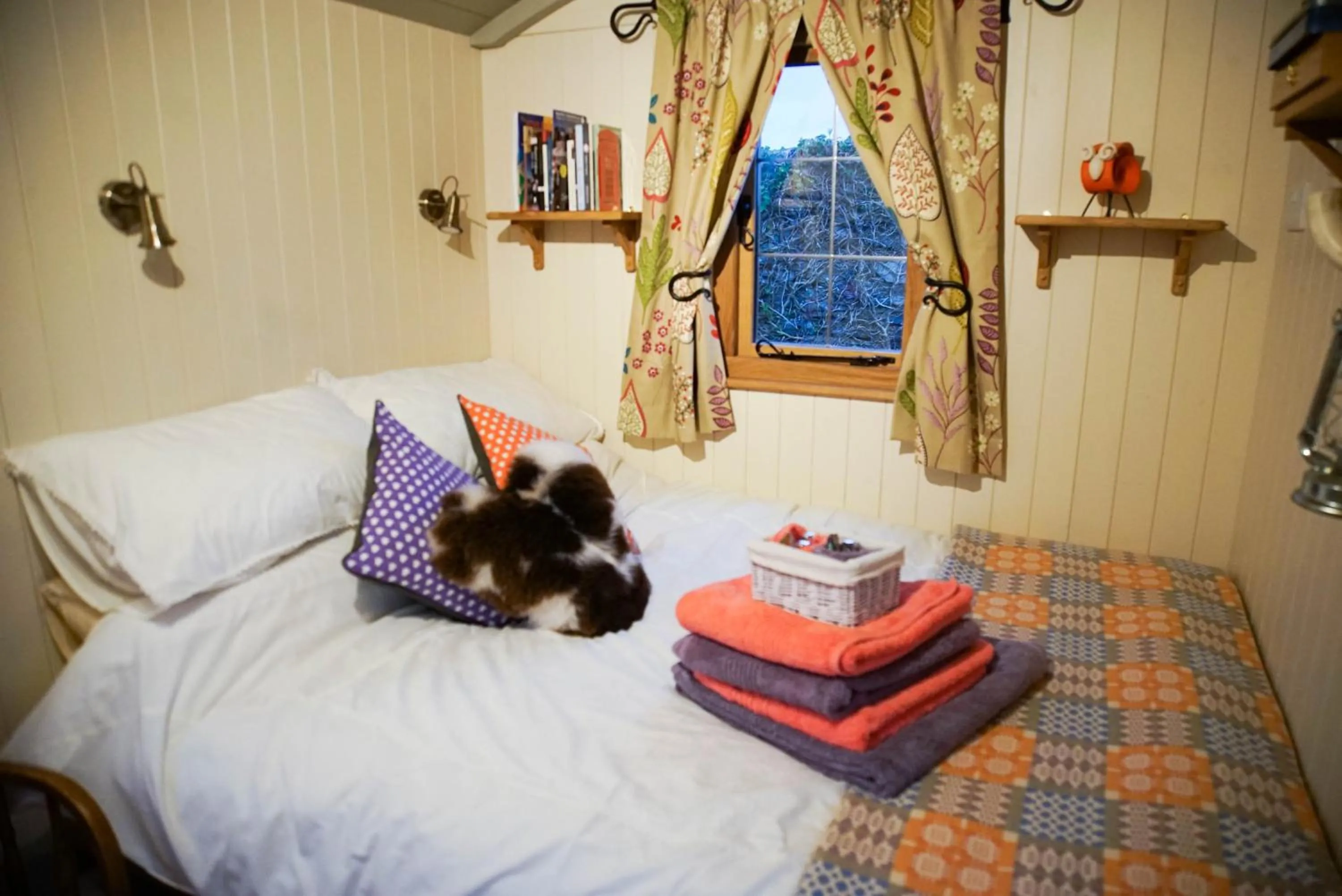 Property building in Storws Y Gorlan Shepherd's Hut