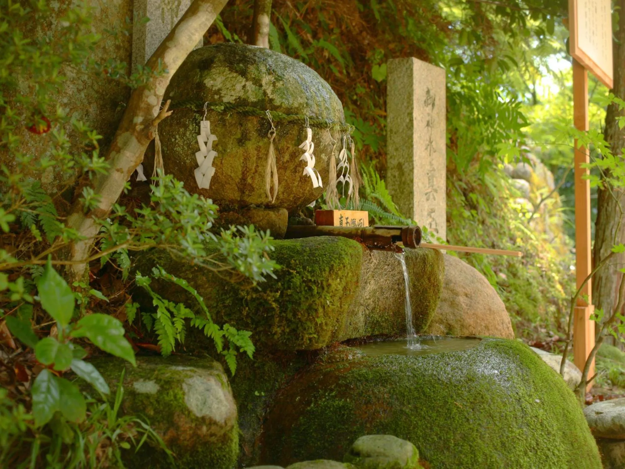 Nearby landmark in Ryotei Yamanoi