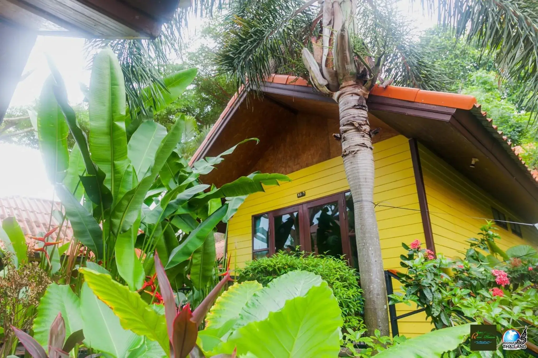 View (from property/room) in Ricci House Resort View (from property/room) in Ricci House Resort