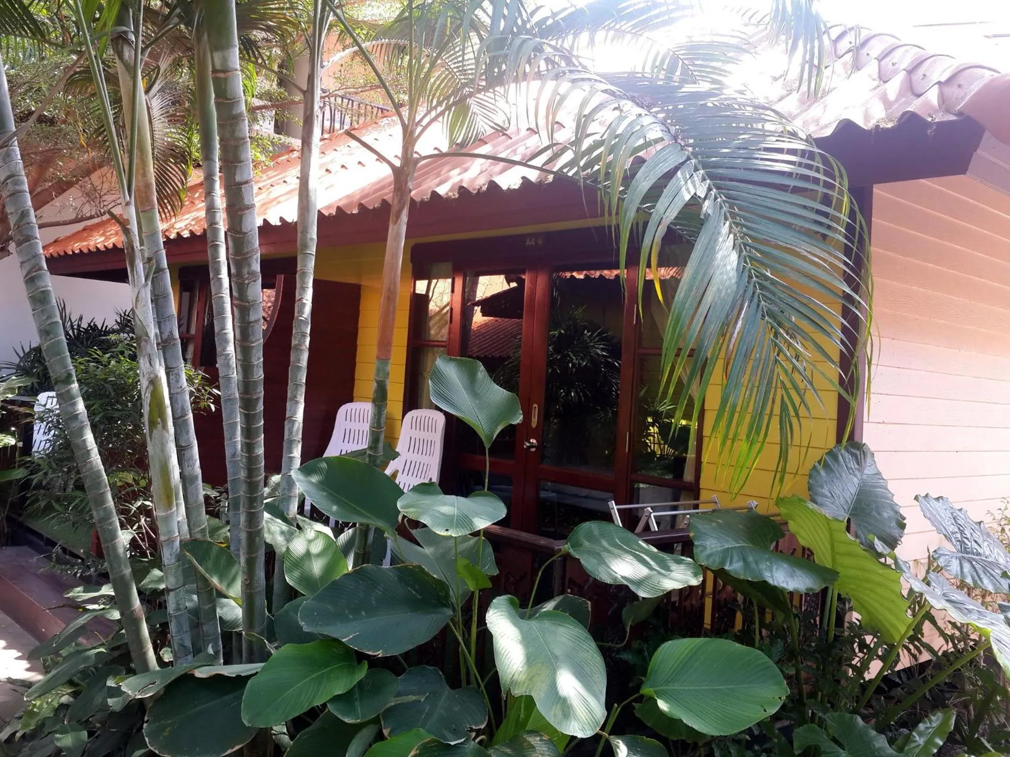 Garden in Ricci House Resort