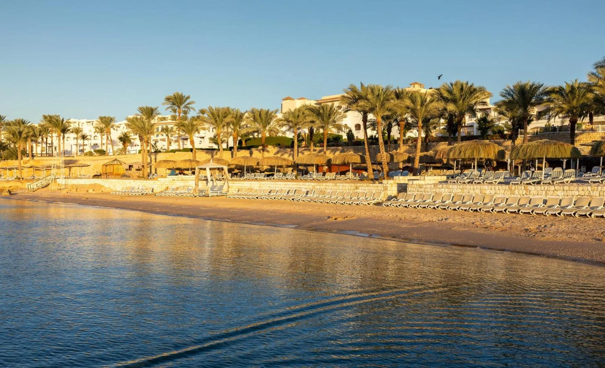 Beach in Continental Plaza Beach Resort