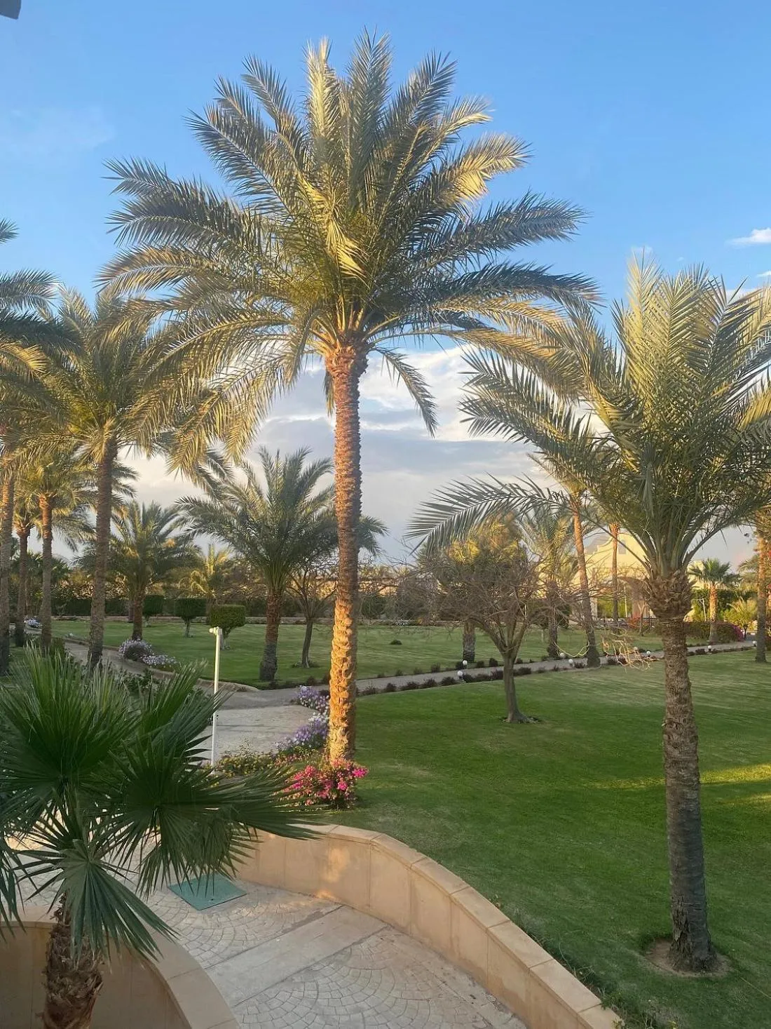 Garden in Continental Plaza Beach Resort