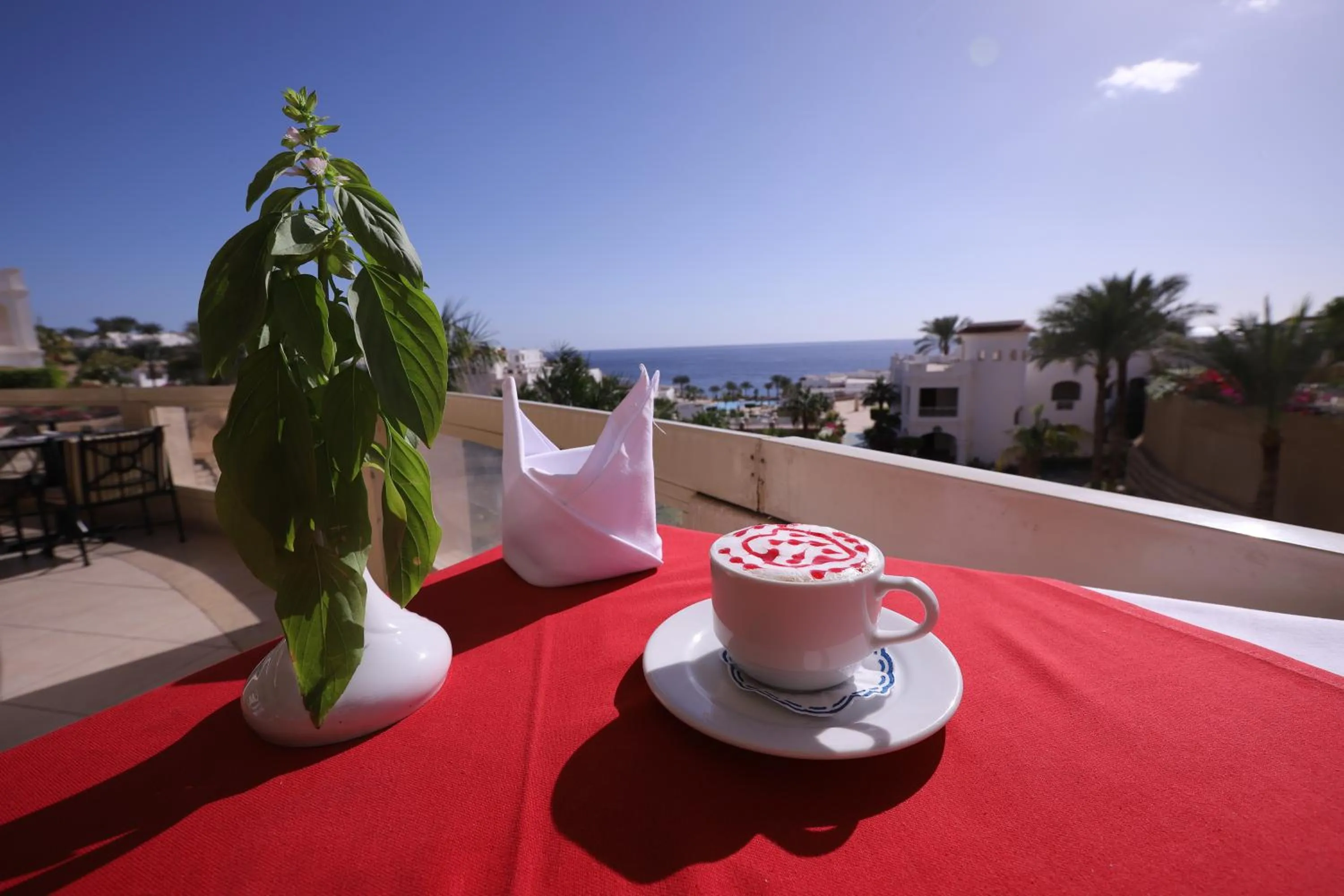 Natural landscape in Continental Plaza Beach Resort