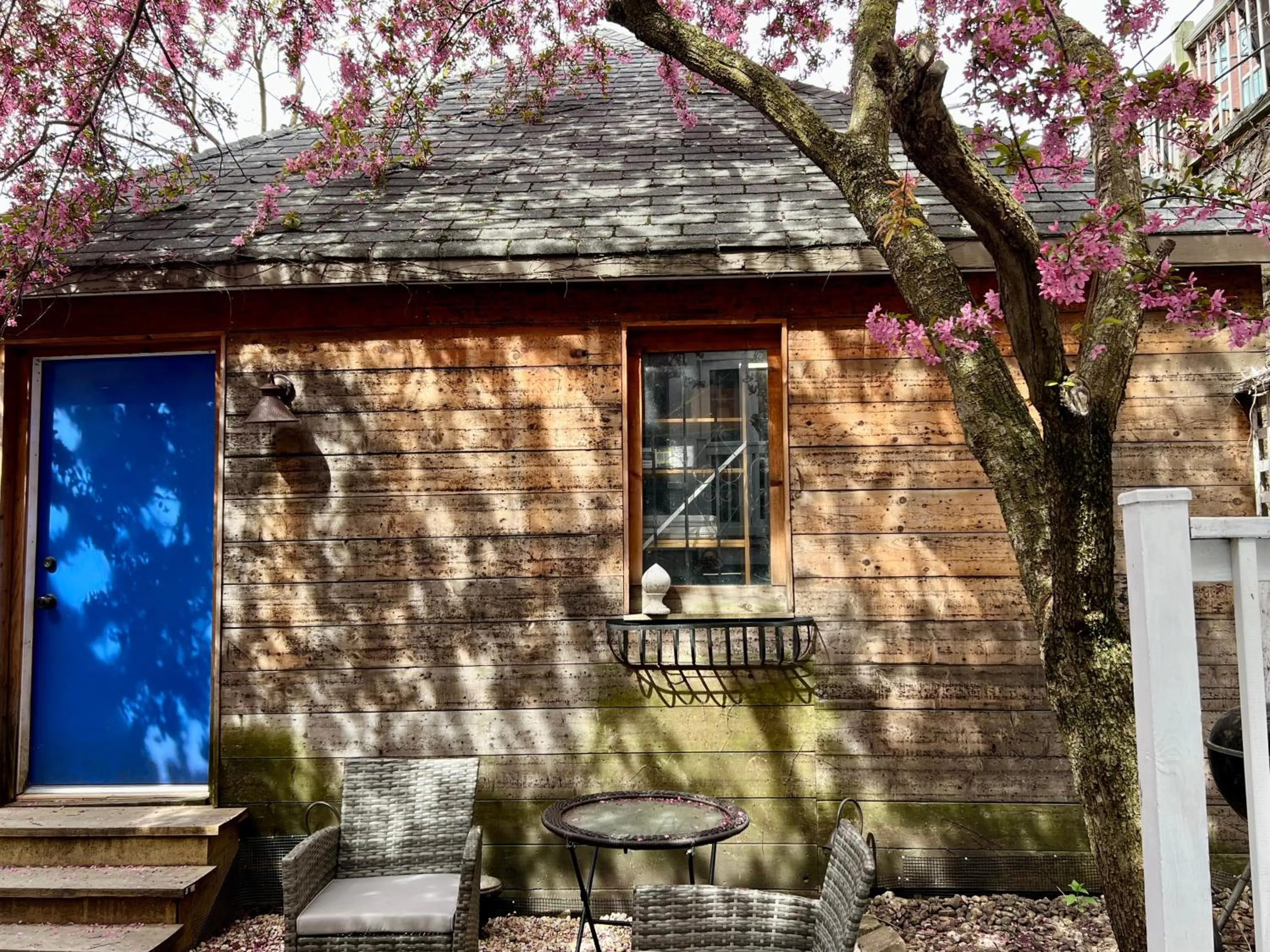 Property building in 5 Bedroom Huge House in Best Location Parking Fireplace Back Yard