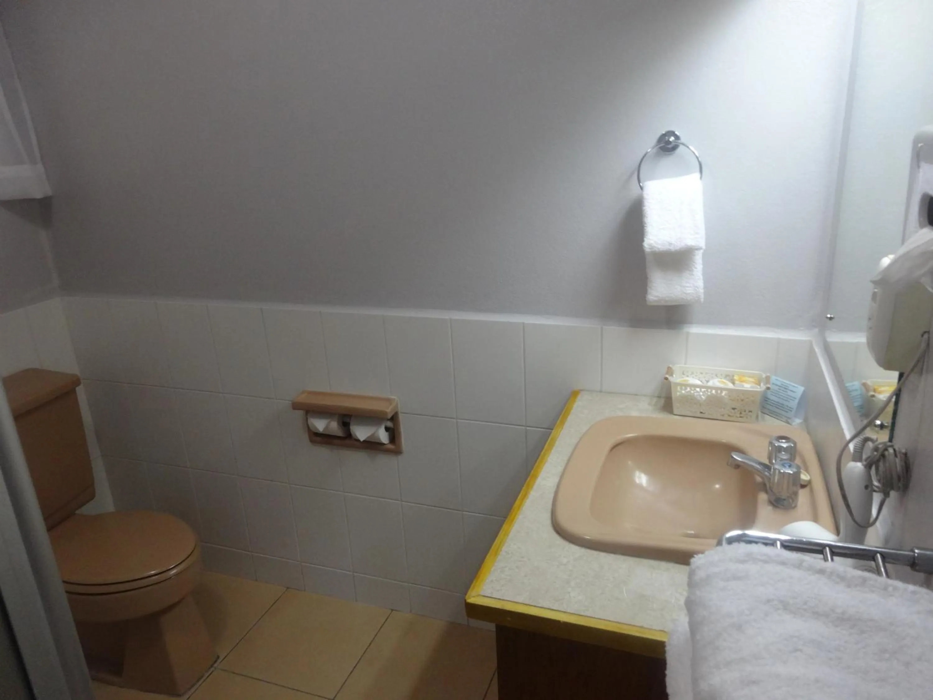 Bathroom in Suva Motor Inn