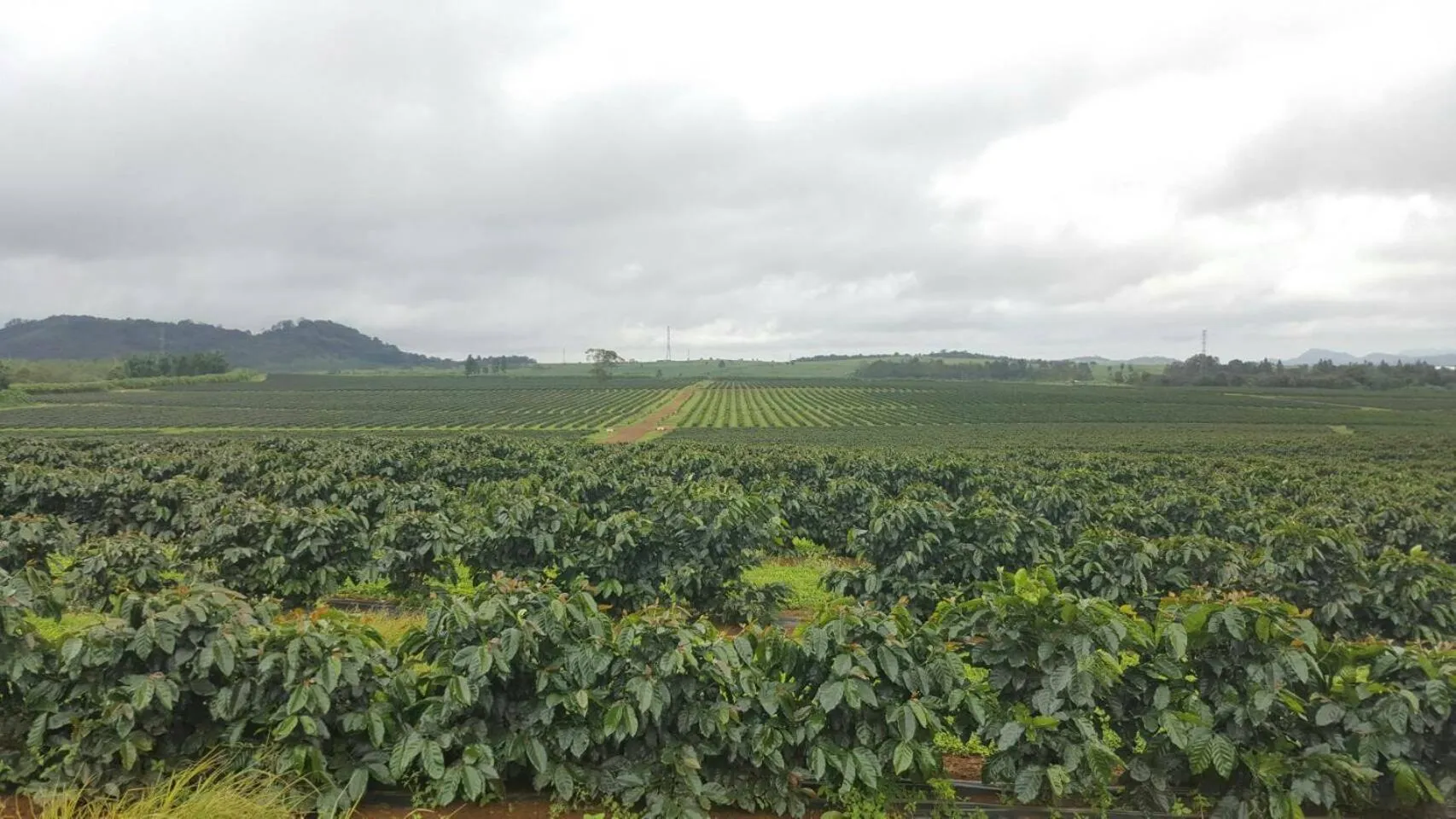 Other in Paksong Danngarm Hotel