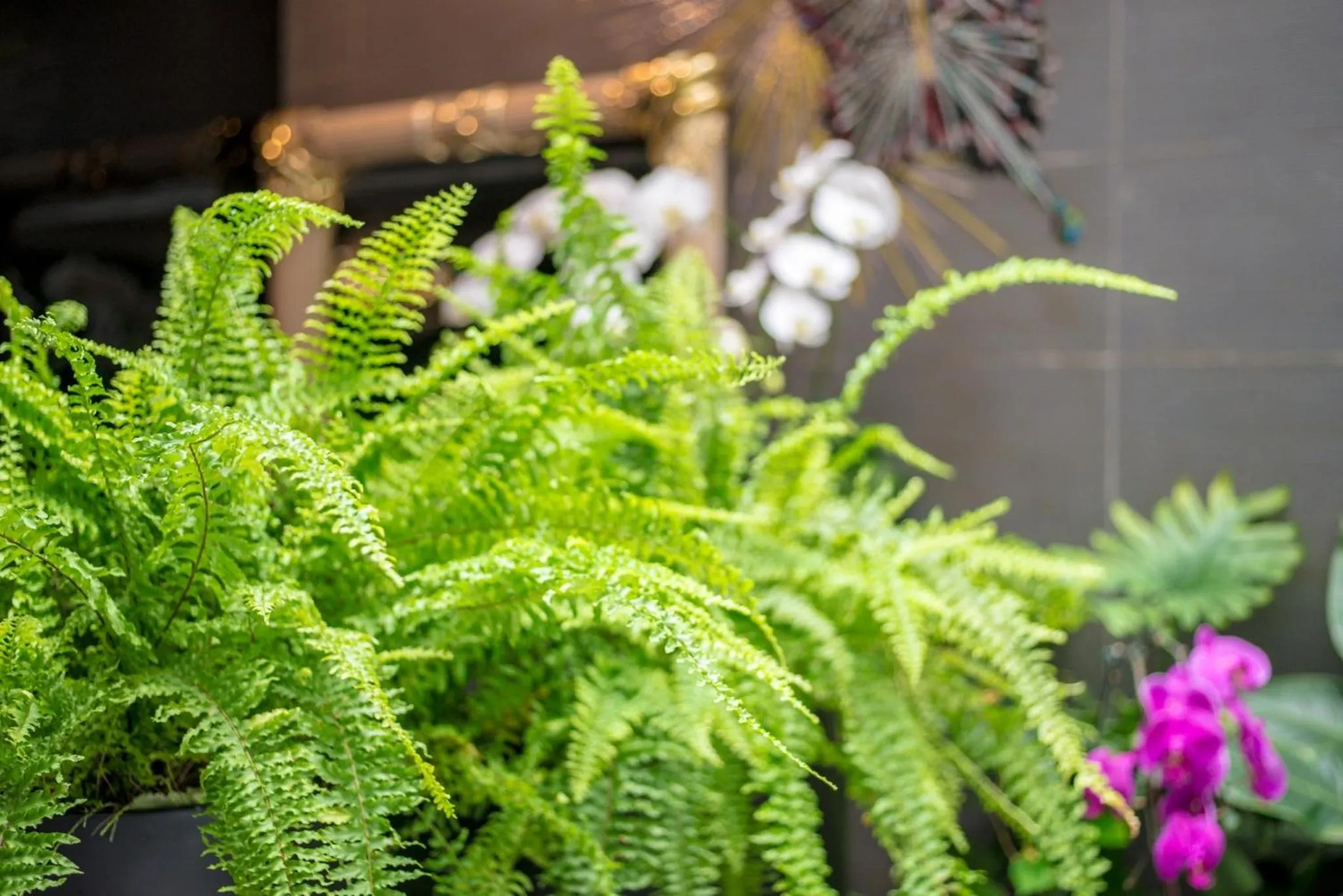 On site in Chiayi King Hotel