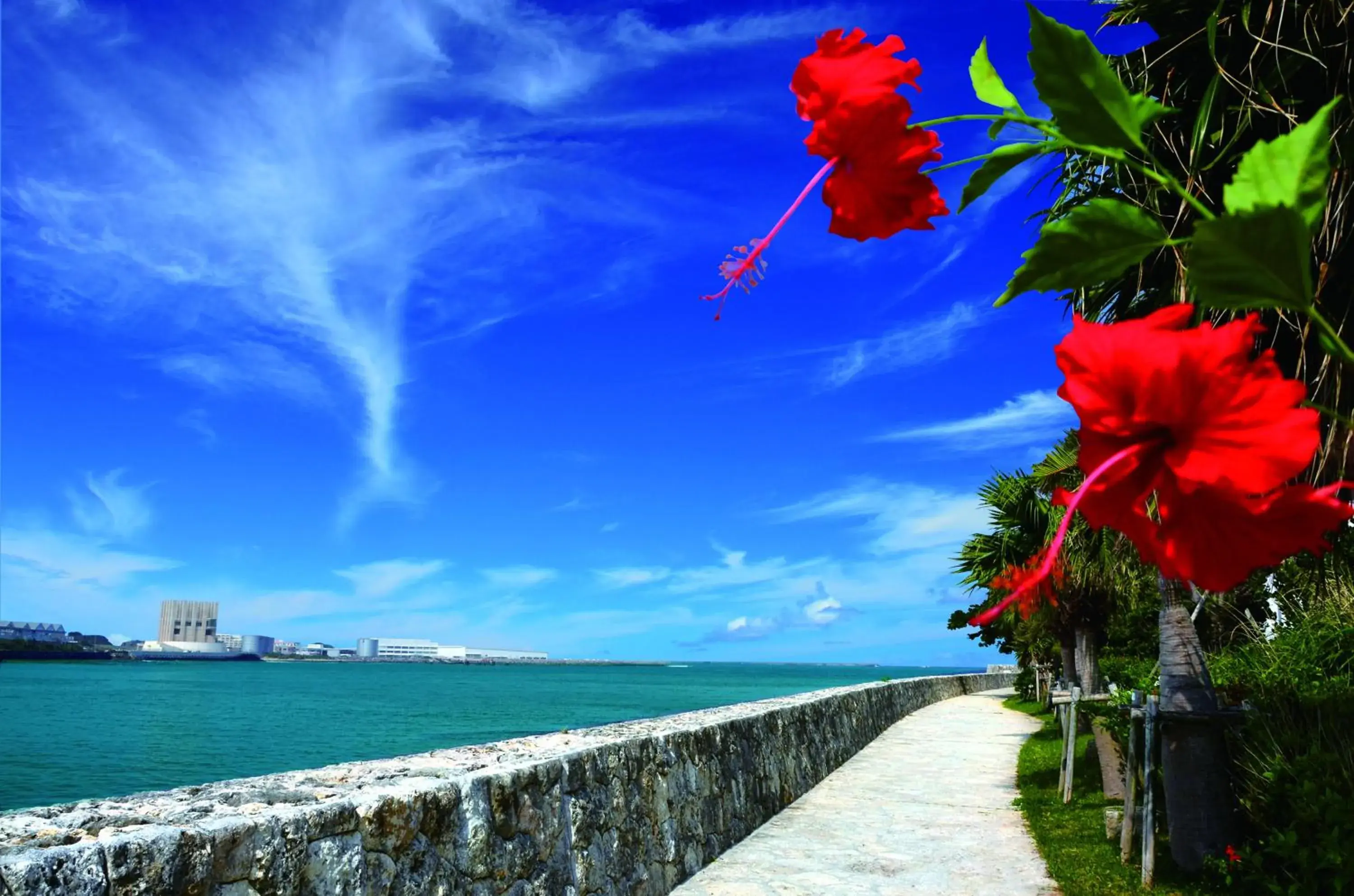 View (from property/room) in Loisir Spa Tower Naha View (from property/room) in Loisir Spa Tower Naha