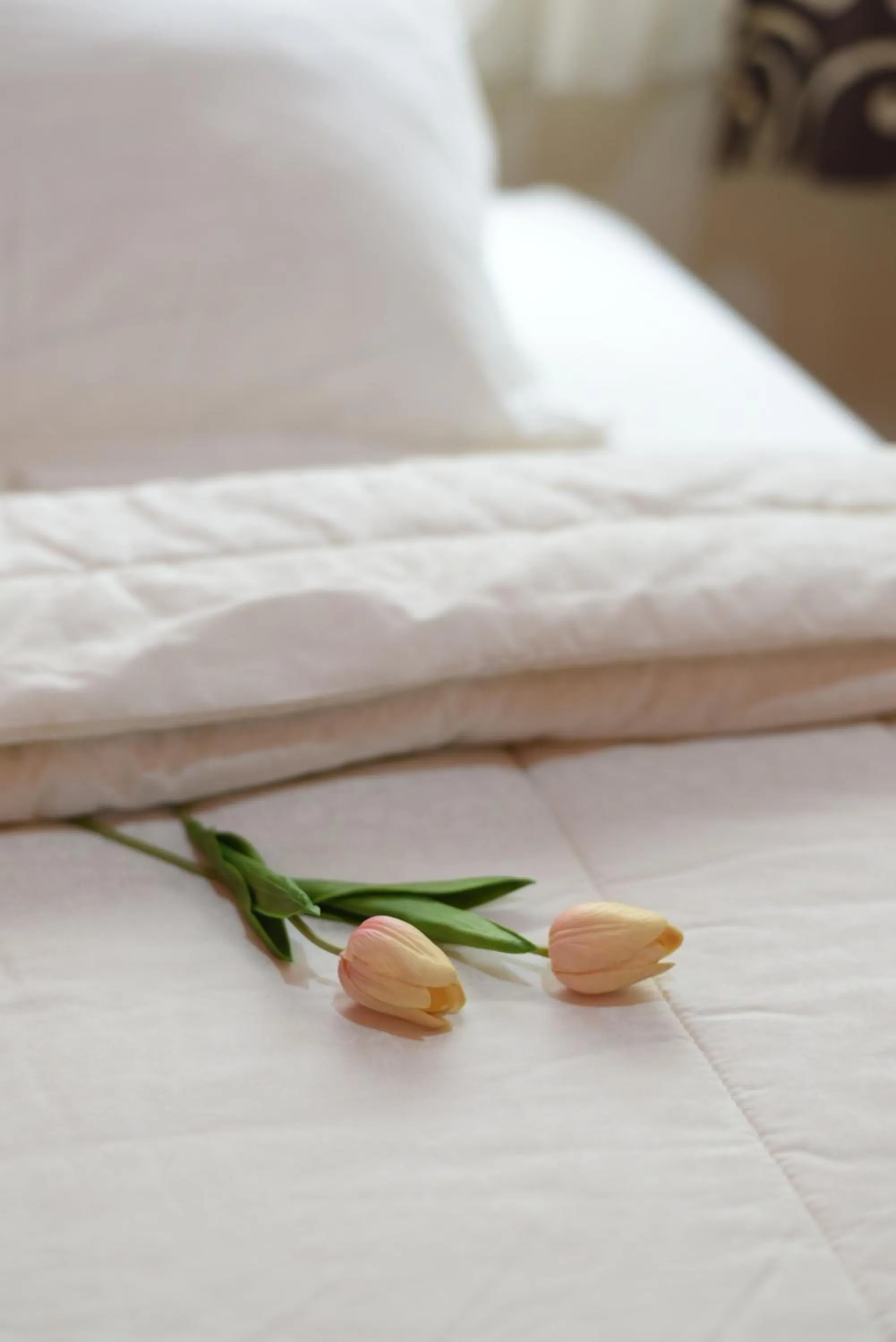 Bed in Roemah 28 Syariah