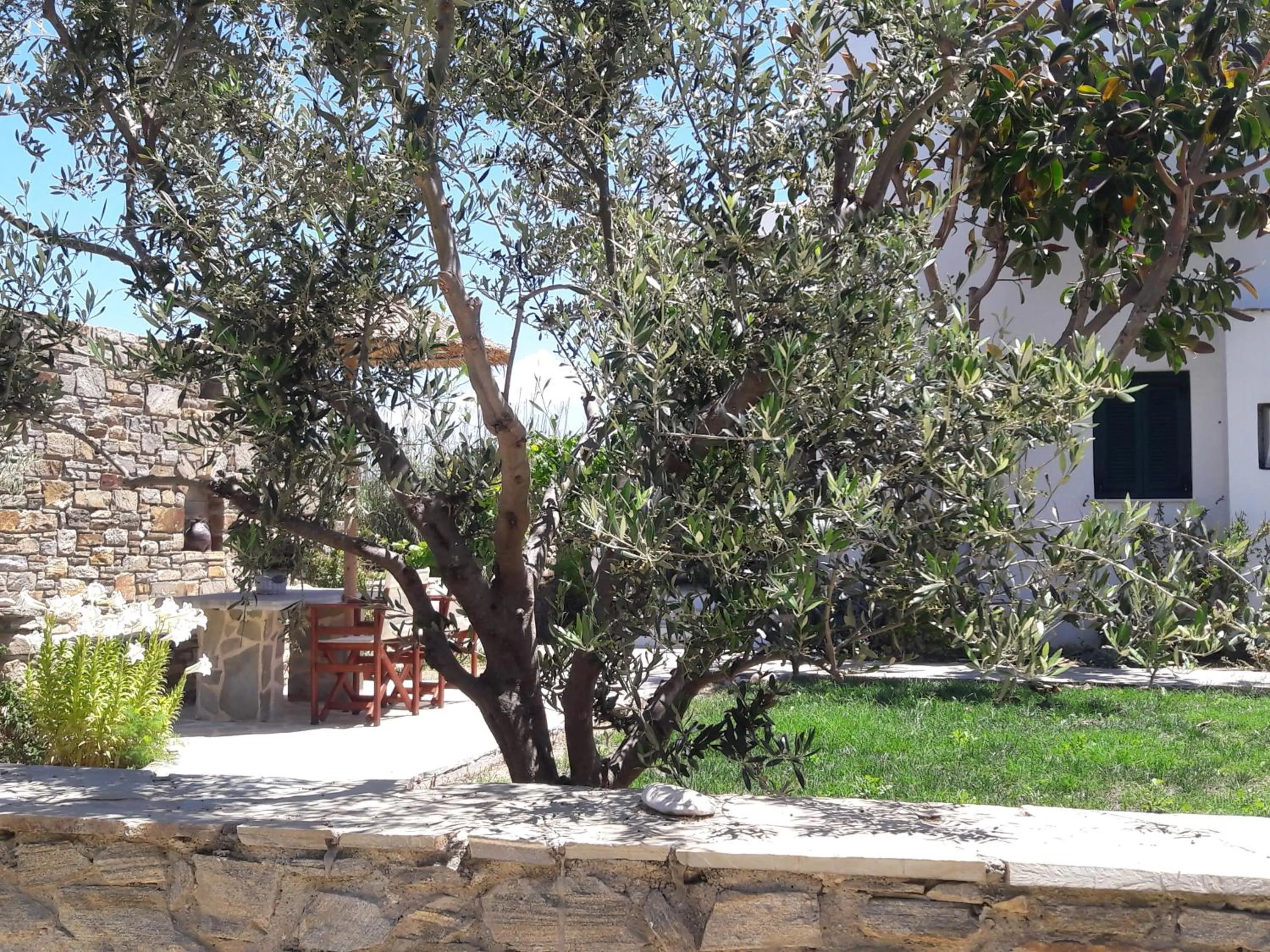 Elpidas studios